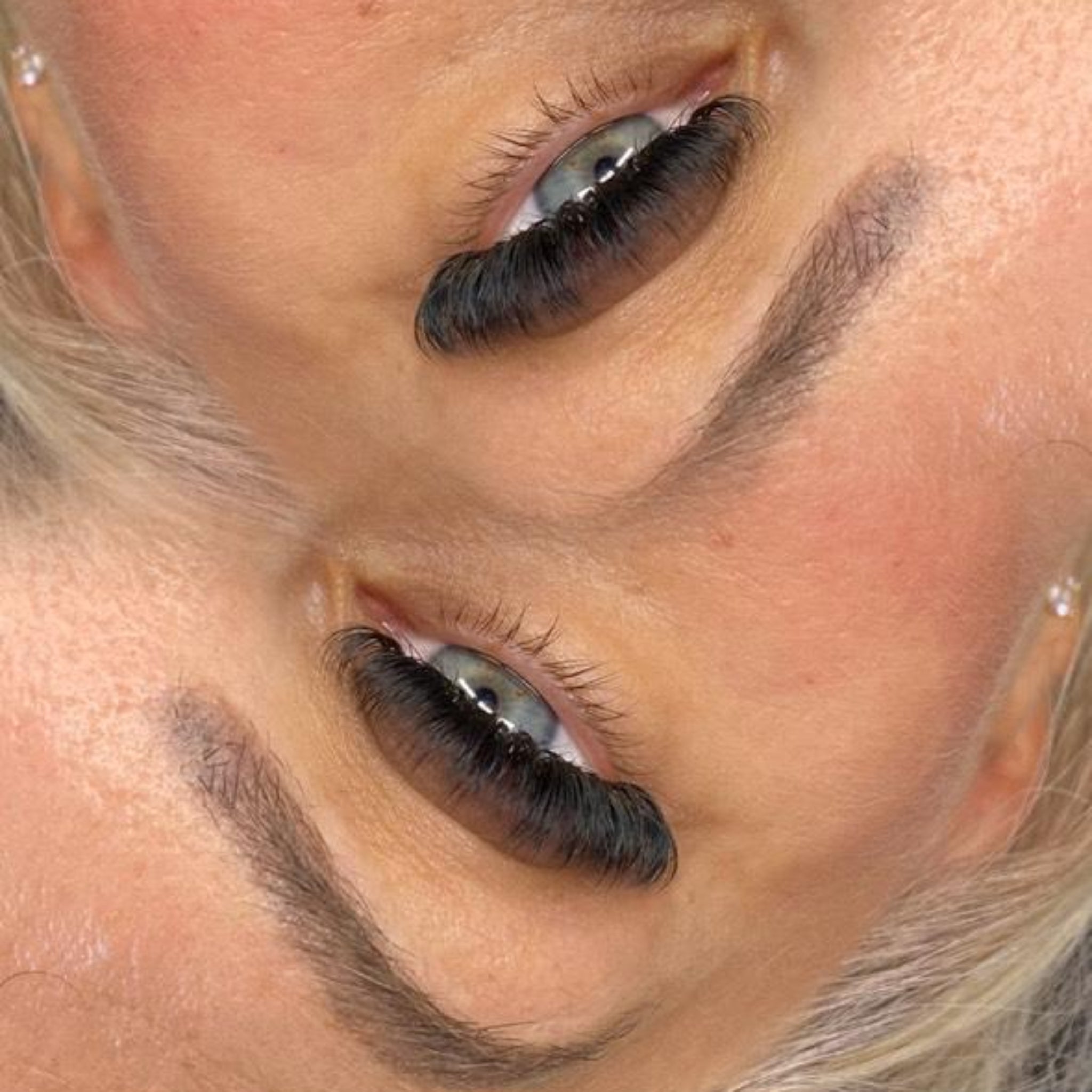 ladybuglashes lashglue lashtrays lashadhesive glueretention cloverlashes wlashes yylashes premades promades lashes