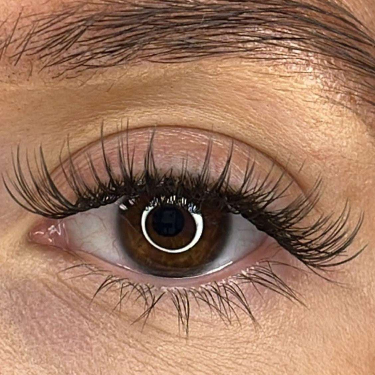 Lash Ribbons Tara DIY Lash Clusters – product image 2