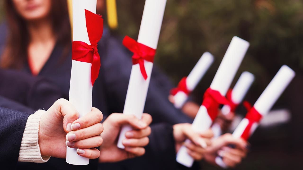 ladybuglashes lashglue lashtrays lashadhesive glueretention cloverlashes wlashes yylashes premades promades lashes