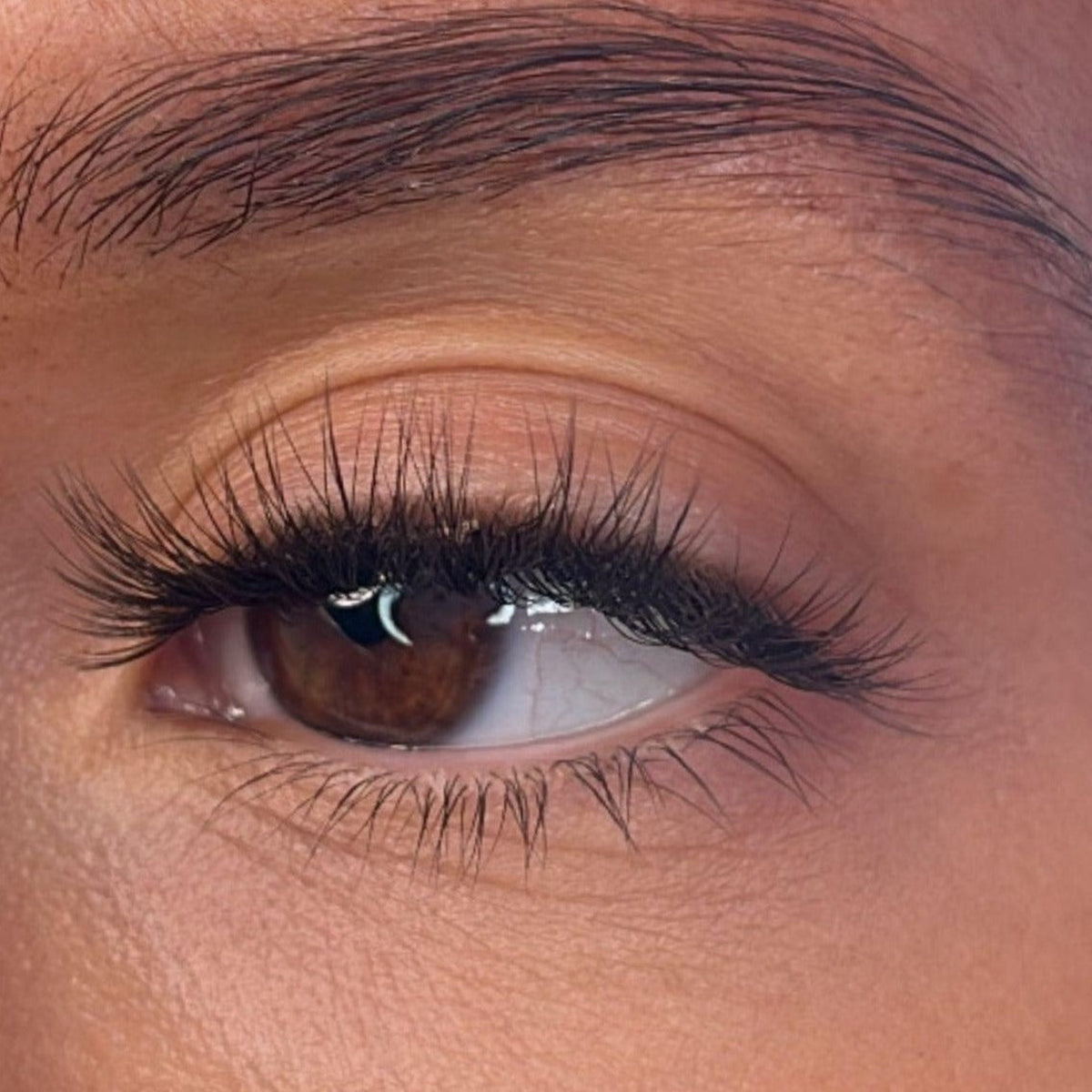 Lash Ribbons Vevina Pre-Styled DIY Lash Clusters – product image 3