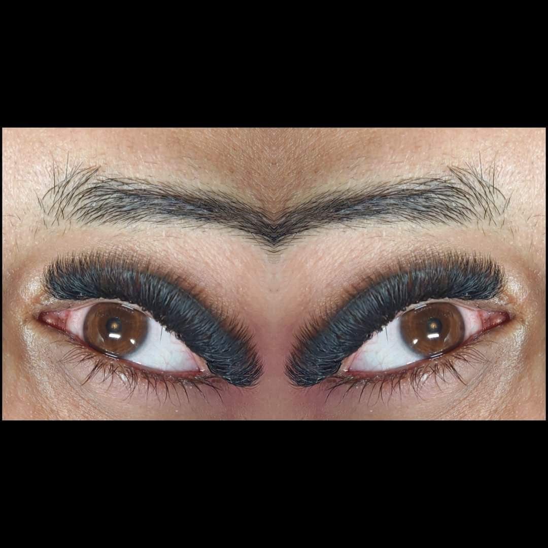 ladybuglashes lashglue lashtrays lashadhesive glueretention cloverlashes wlashes yylashes premades promades lashes