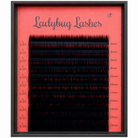 2.	Ladybug Lashes Volume L Curl lash tray showing full red strip with L 0.07 curl lashes labelled from 8mm to 15mm in two rows per length