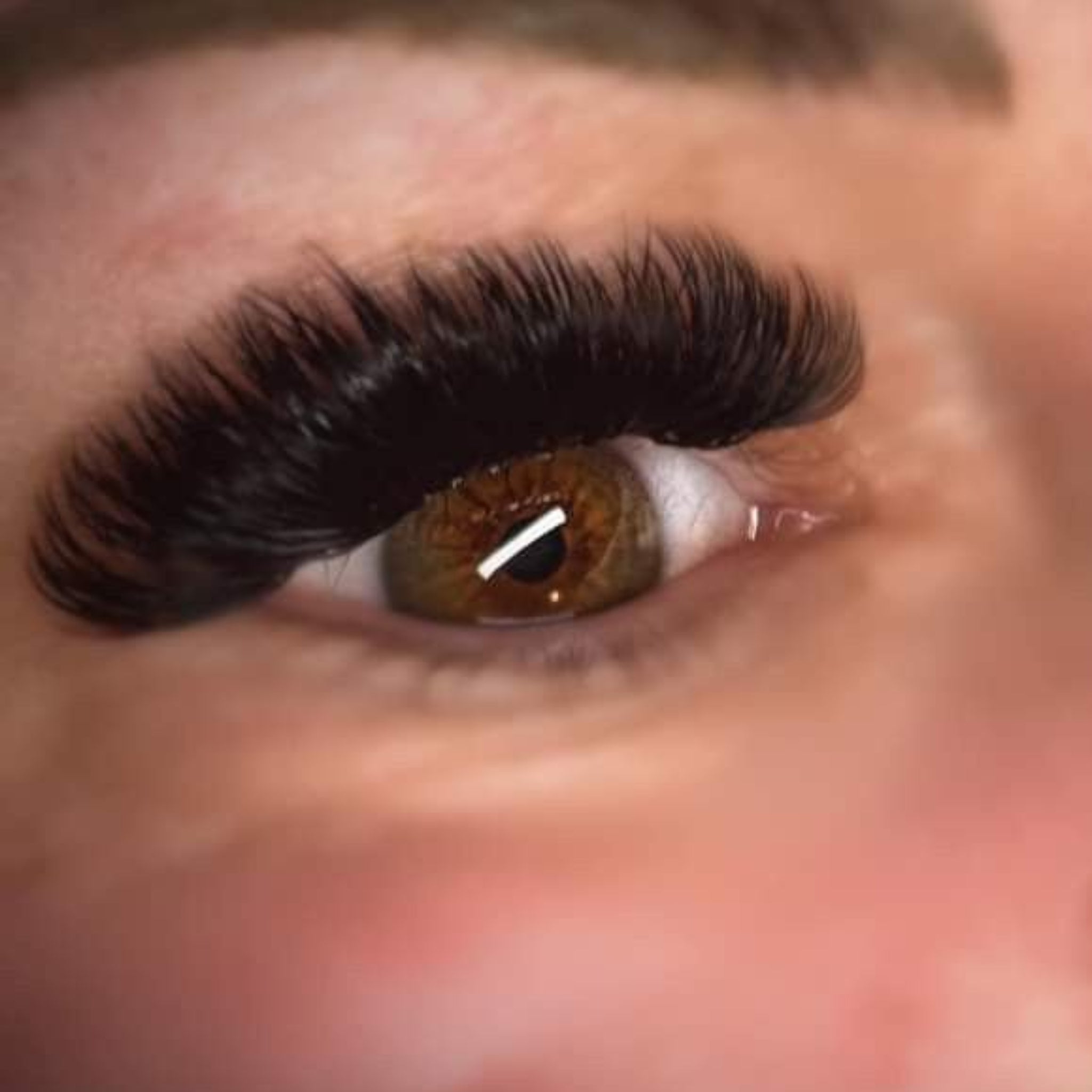 Ladybug Lashes Volume Lash Sample Tray