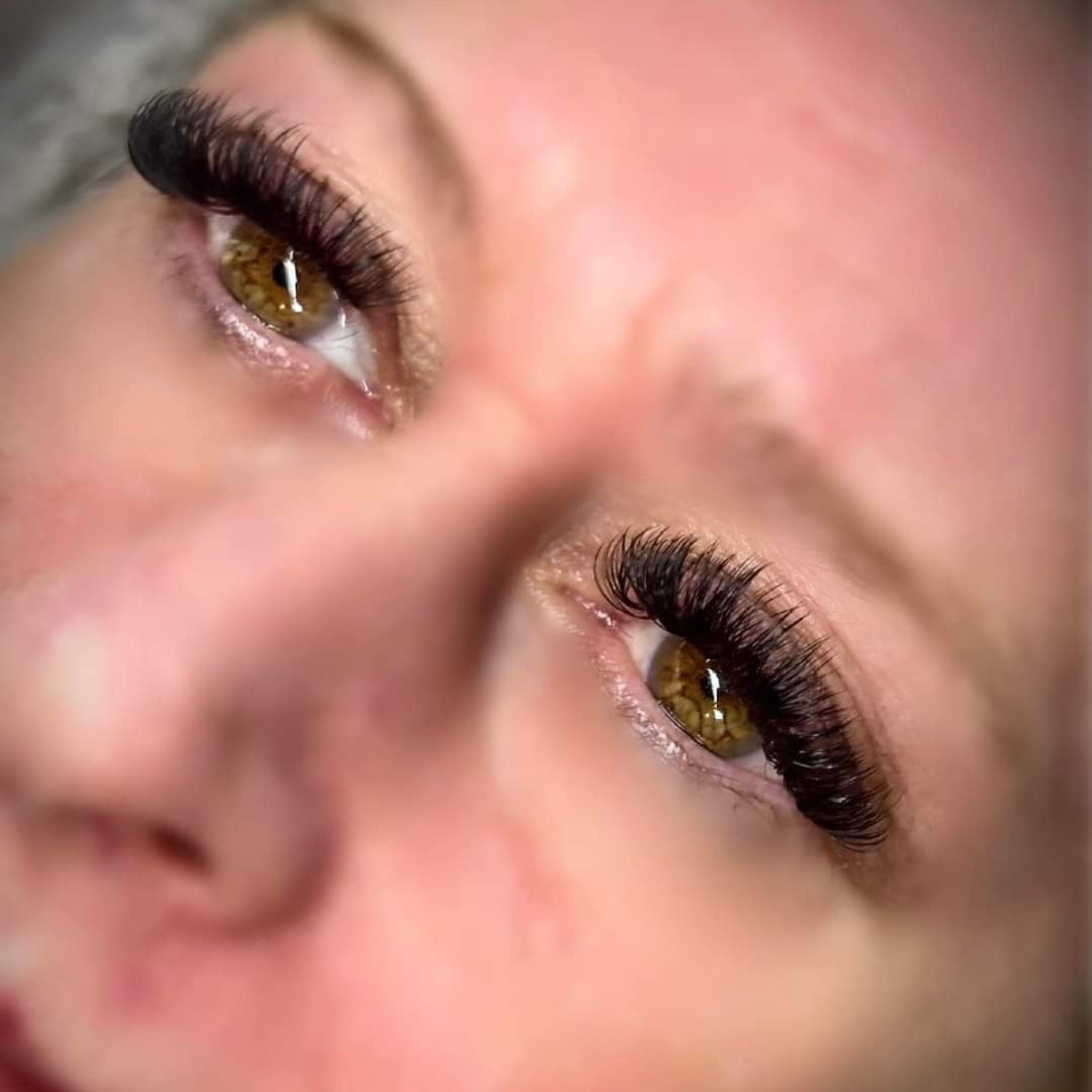 ladybuglashes lashglue lashtrays lashadhesive glueretention cloverlashes wlashes yylashes premades promades lashes