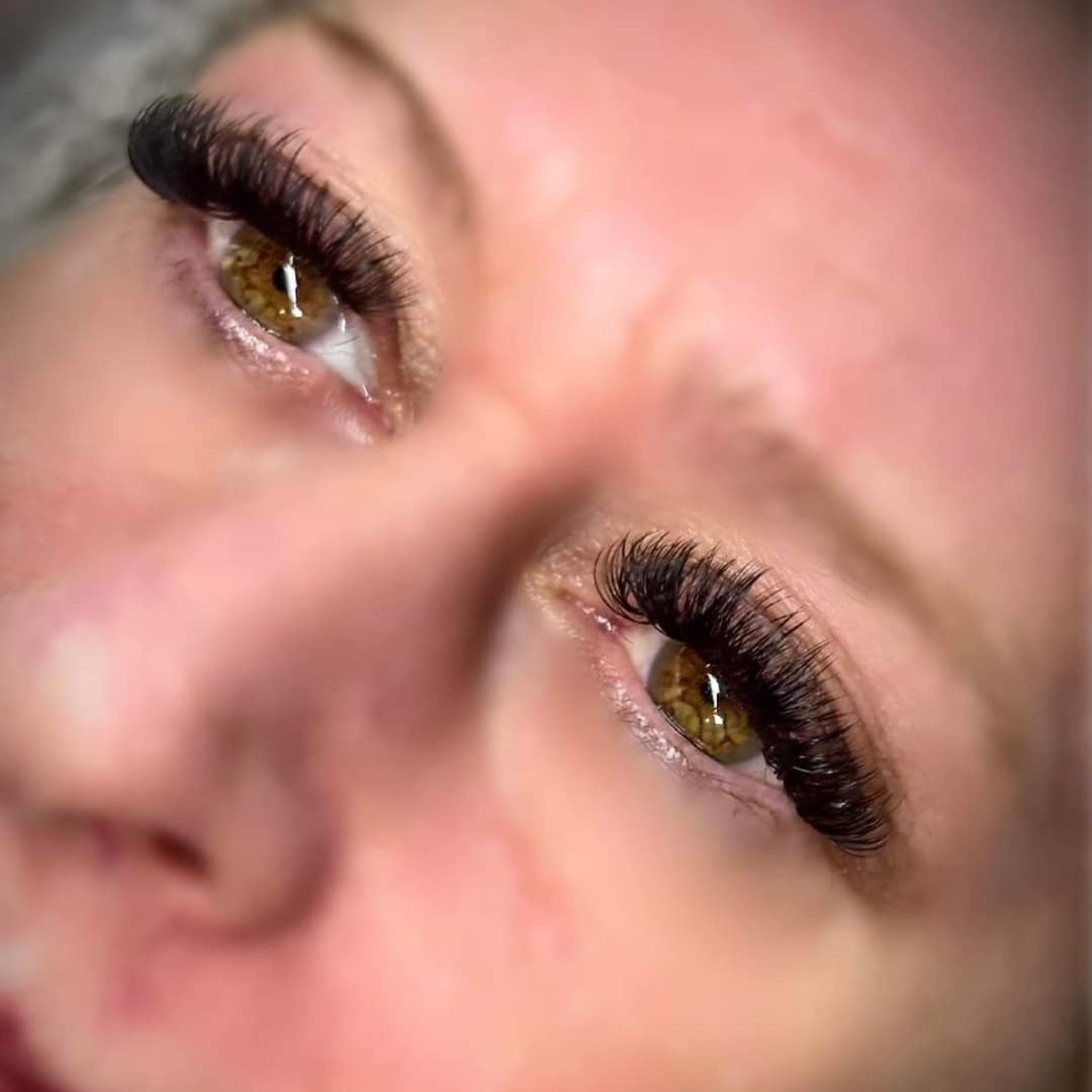 Ladybug Lashes Volume Lash Sample Tray