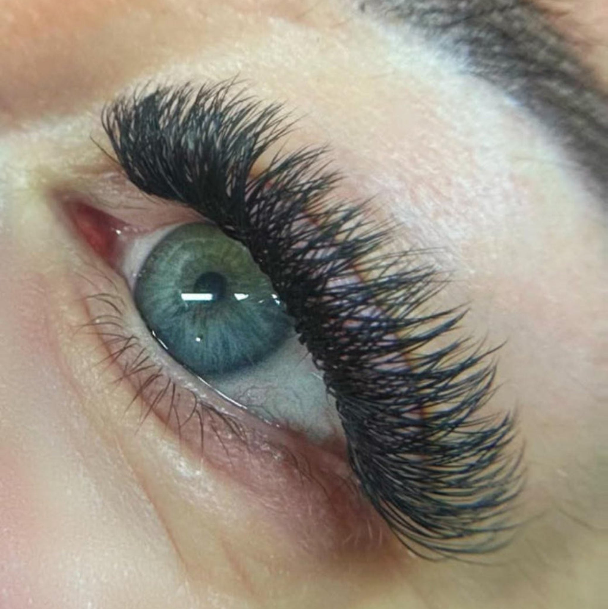 Ladybug Lashes W Lashes Mixed Tray 16 Rows