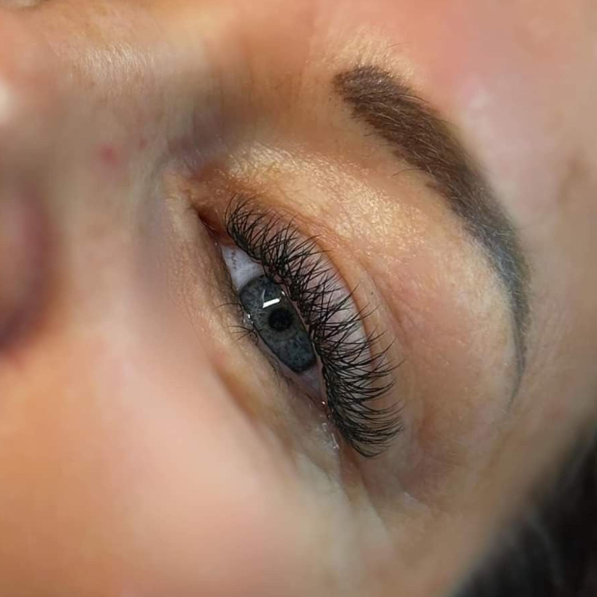 Ladybug Lashes W Lash Sample Tray
