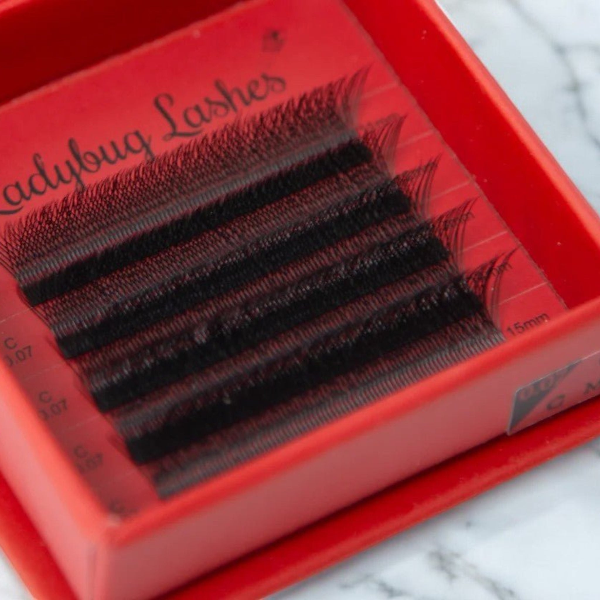 Ladybug Lashes W Lash Sample Tray