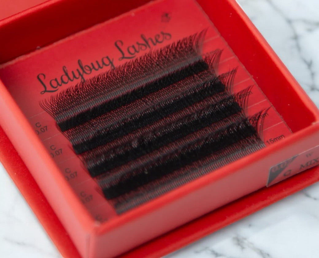 Close-up of a person's eye with applied false eyelashes, showcasing the 'W' lash extension design.