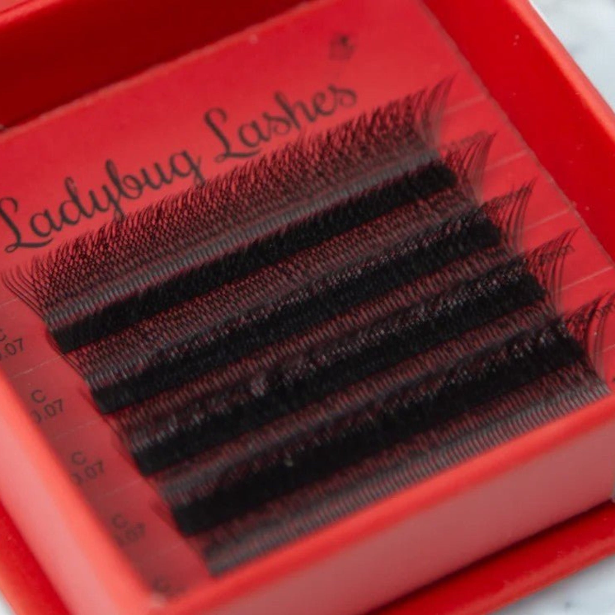 Ladybug Lashes W Lash Sample Tray