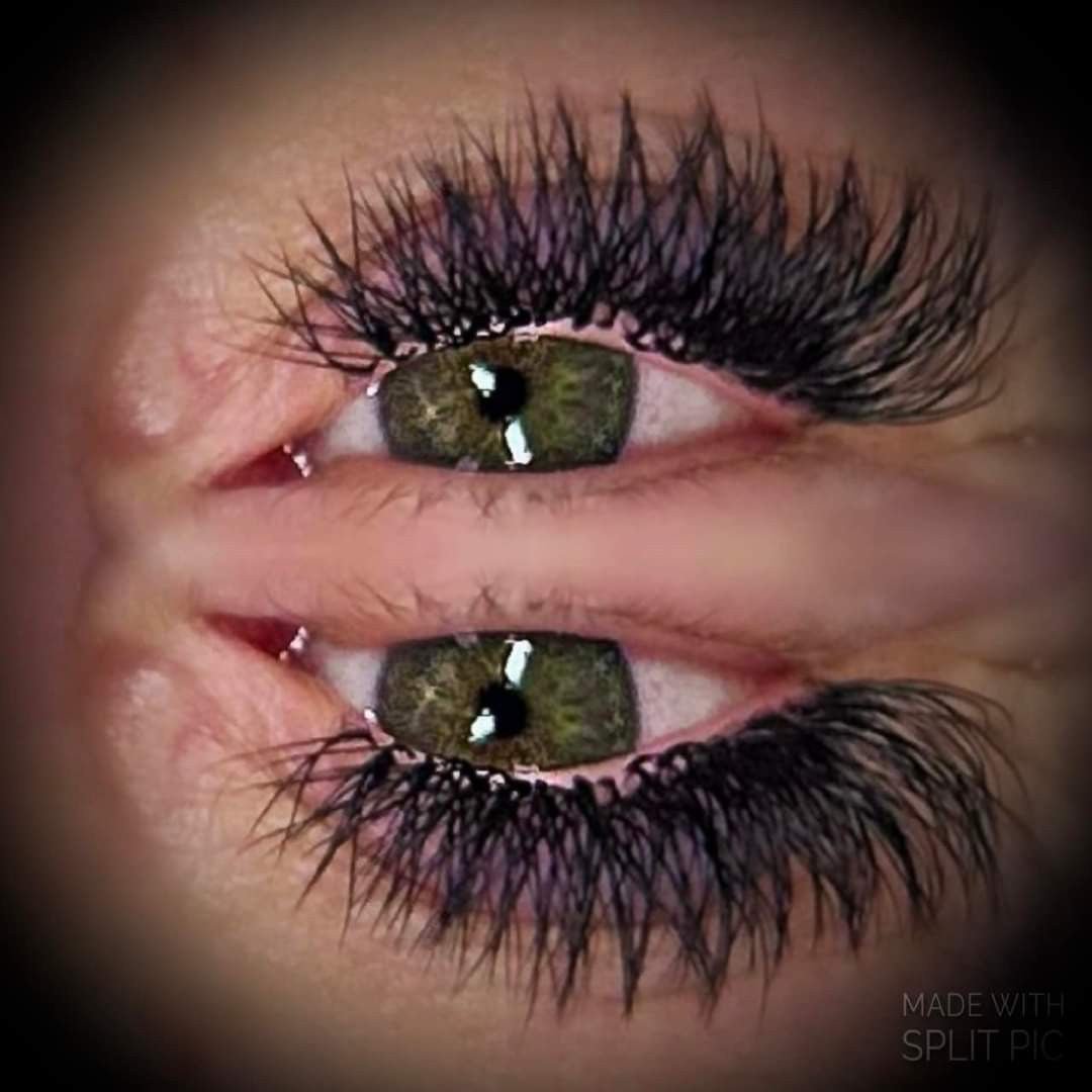 Ladybug Lashes W Lash Sample Tray