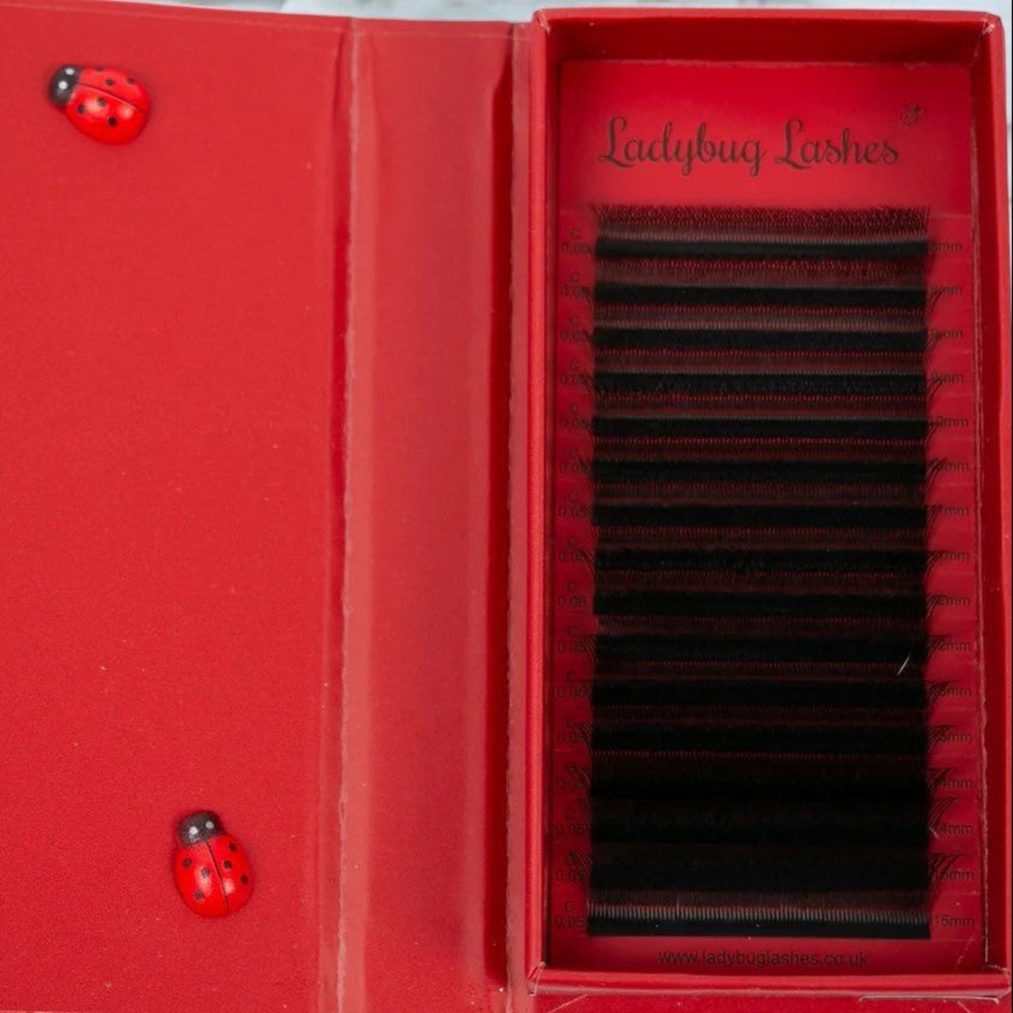 ladybuglashes lashglue lashtrays lashadhesive glueretention cloverlashes wlashes yylashes premades promades lashes