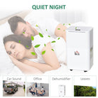 10L/Day Portable Quiet Dehumidifier for Home Laundry