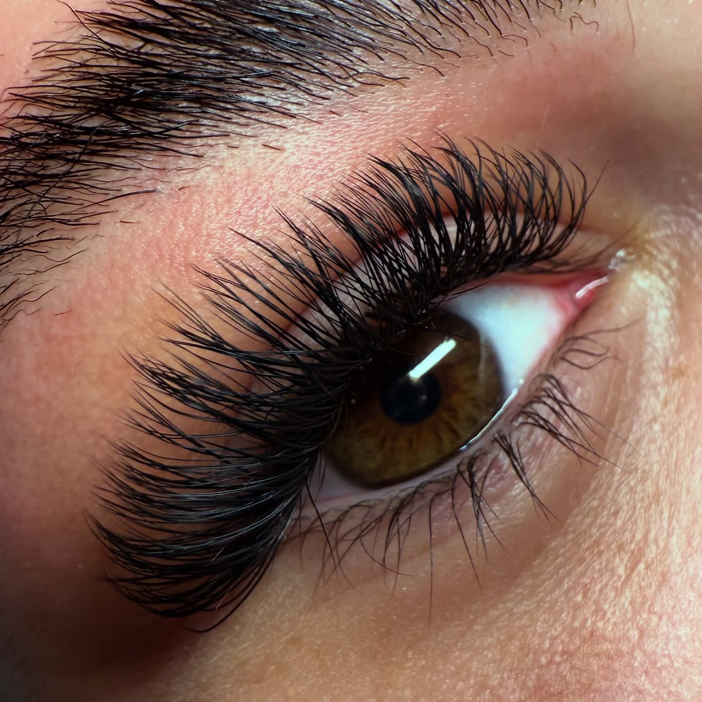 Ladybug Lashes YY Lash Sample Tray