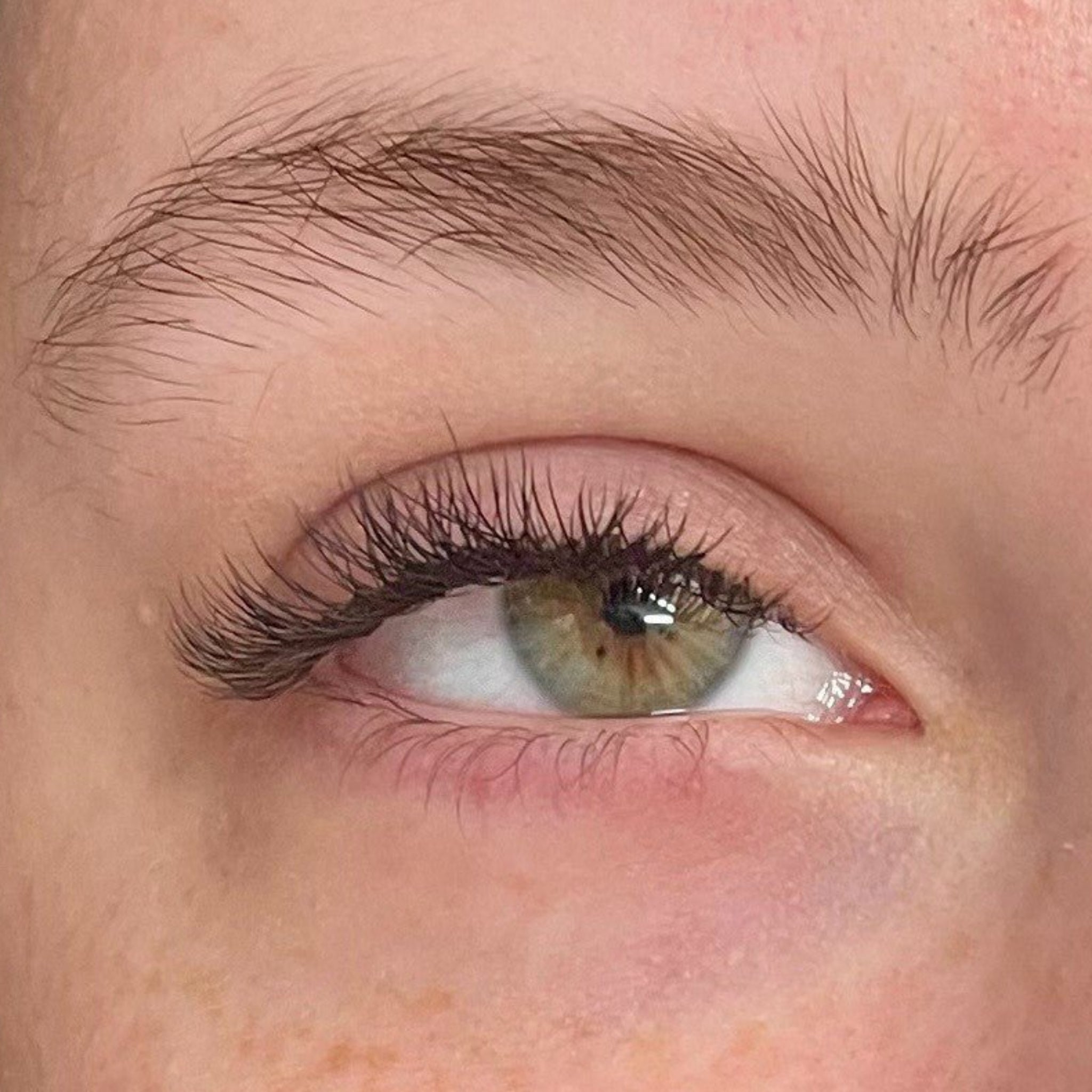 ladybuglashes lashglue lashtrays lashadhesive glueretention cloverlashes wlashes yylashes premades promades lashes