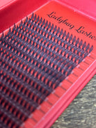 anime feather spikes lash tray