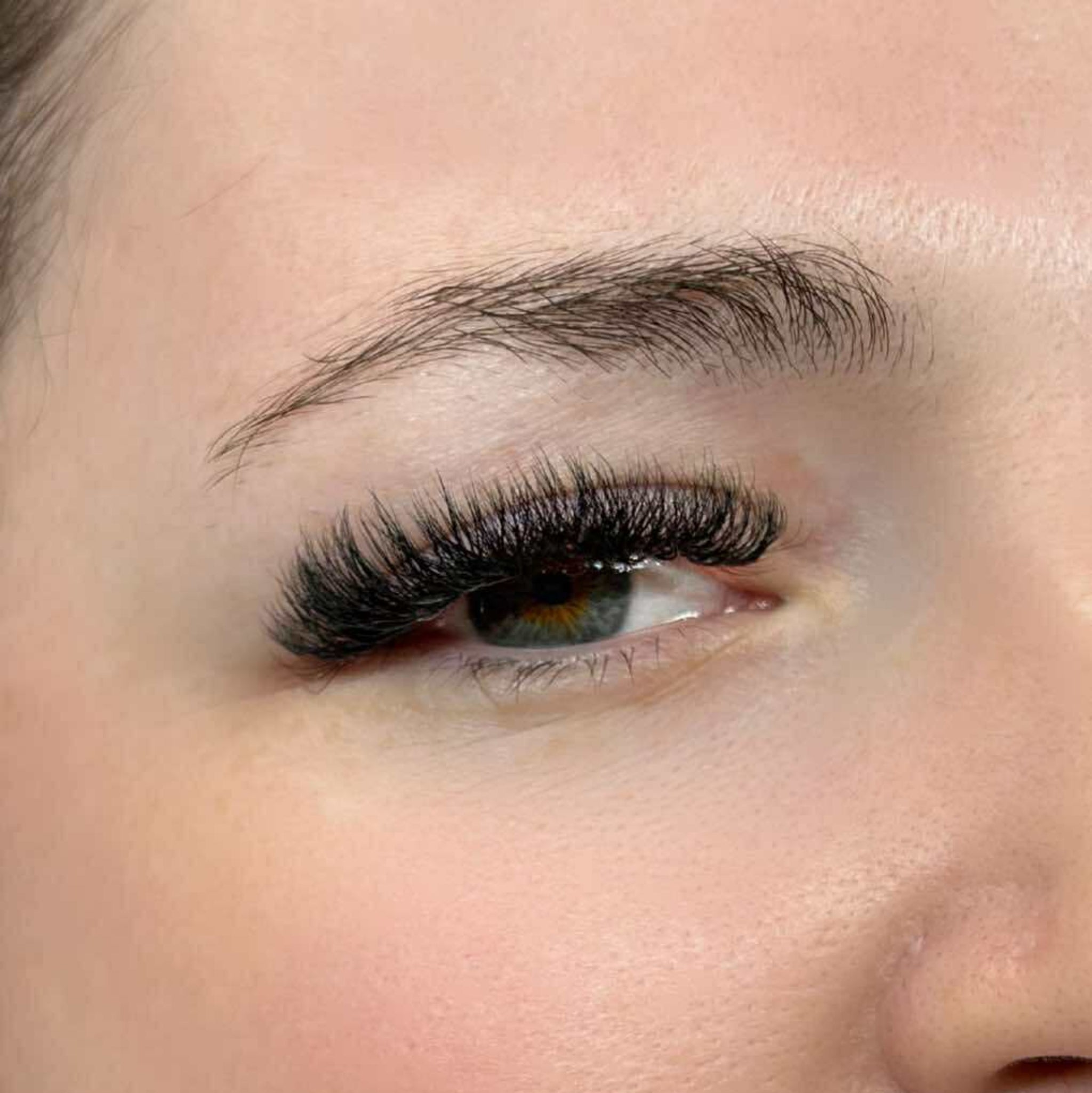 8D Clover Lashes 16 row mixed tray