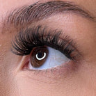 Lash Ribbons Una NEW Pre-Glued Lash Clusters – product image 4