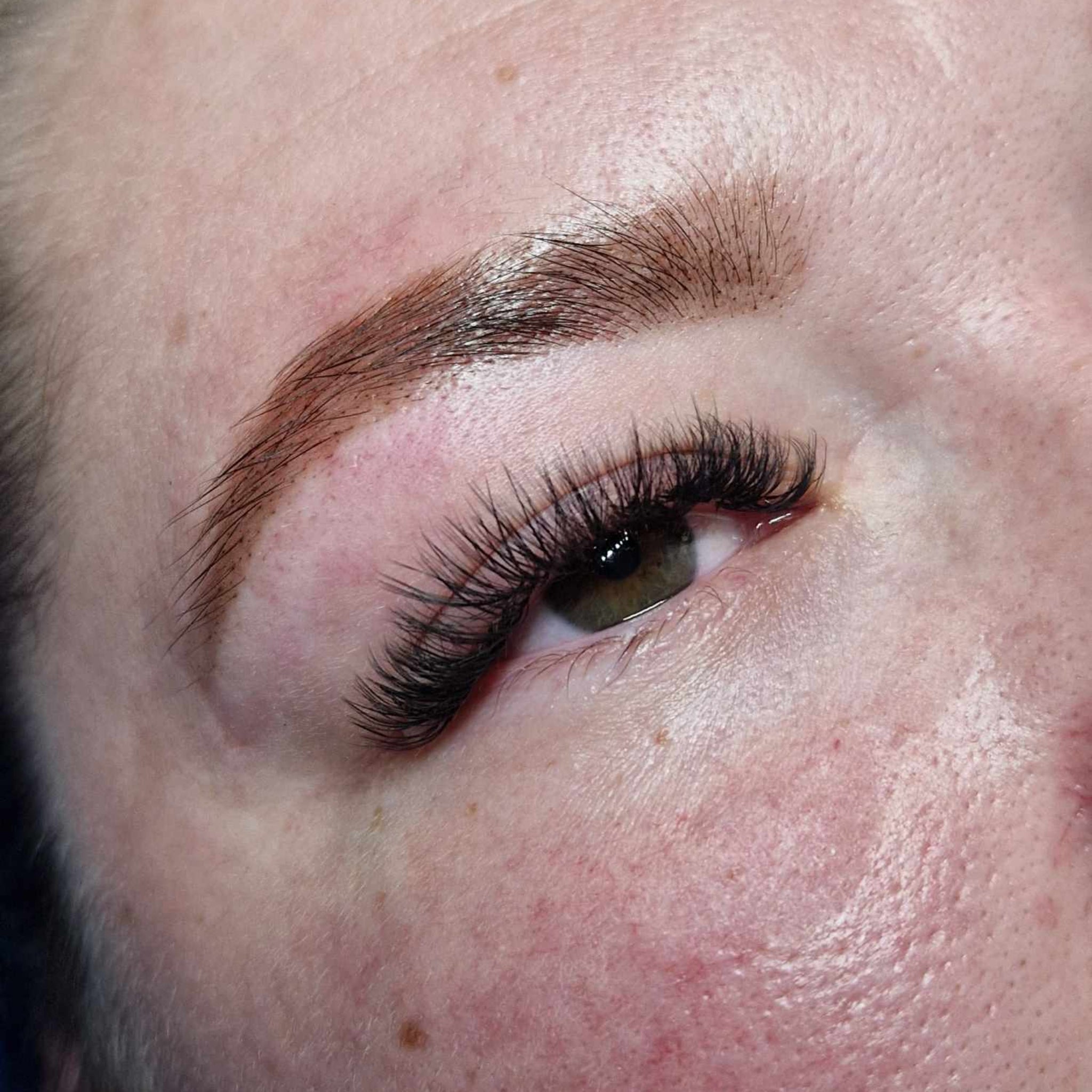 ladybuglashes lashglue lashtrays lashadhesive glueretention cloverlashes wlashes yylashes premades promades lashes