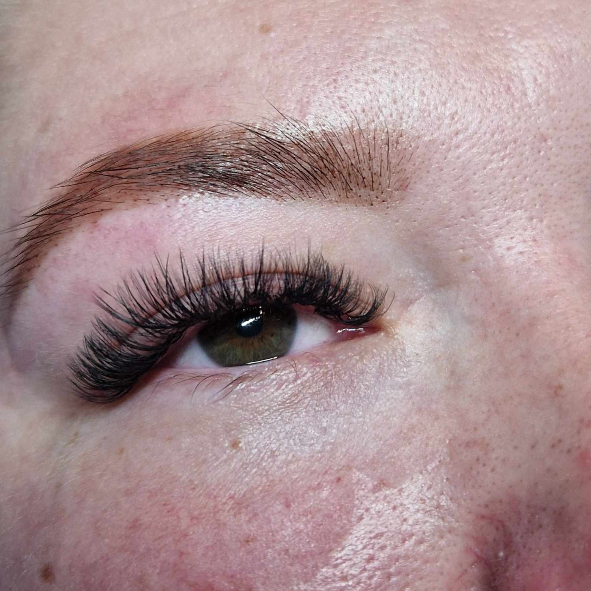 ladybuglashes lashglue lashtrays lashadhesive glueretention cloverlashes wlashes yylashes premades promades lashes