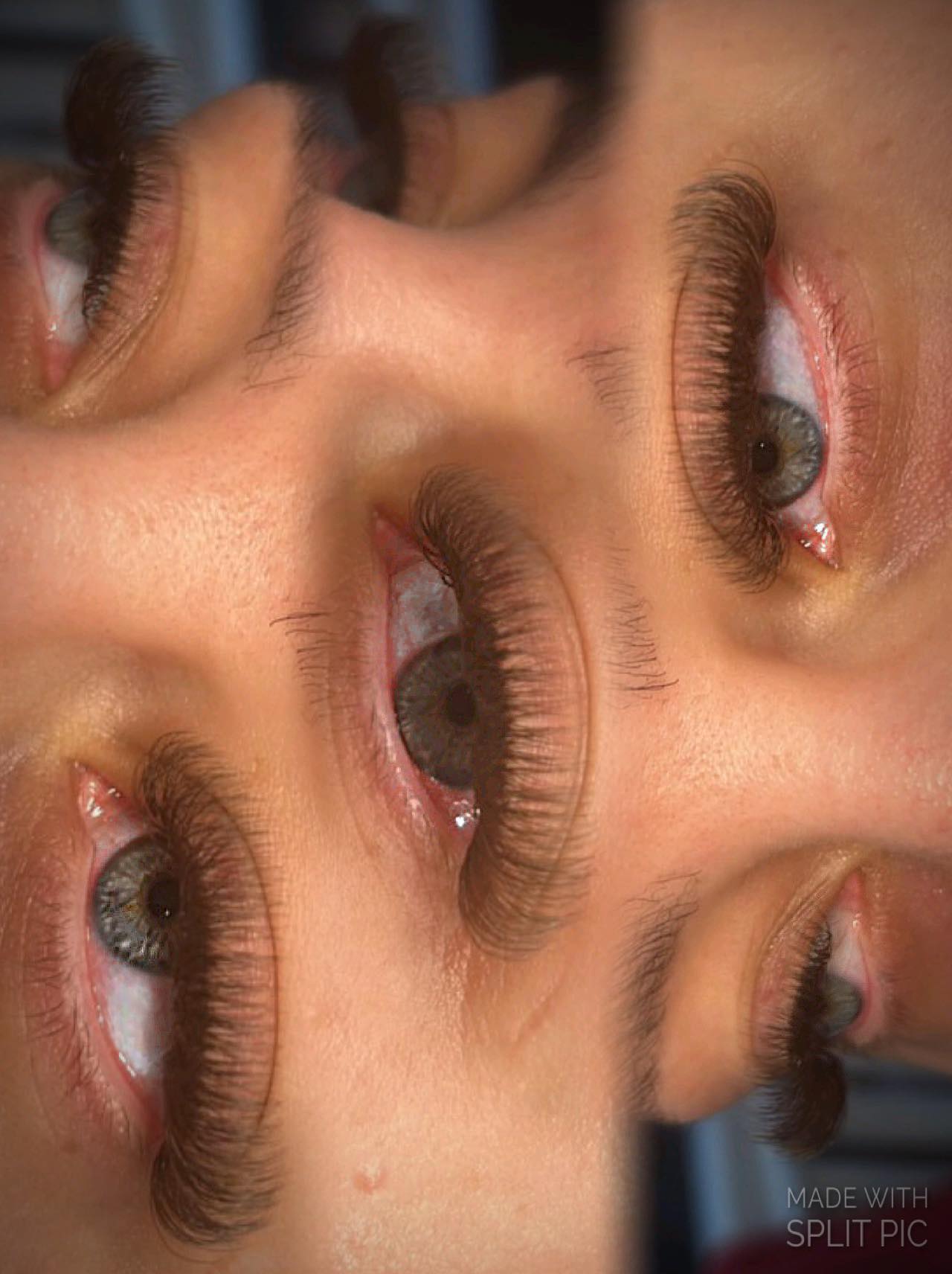 ladybuglashes lashglue lashtrays lashadhesive glueretention cloverlashes wlashes yylashes premades promades lashes