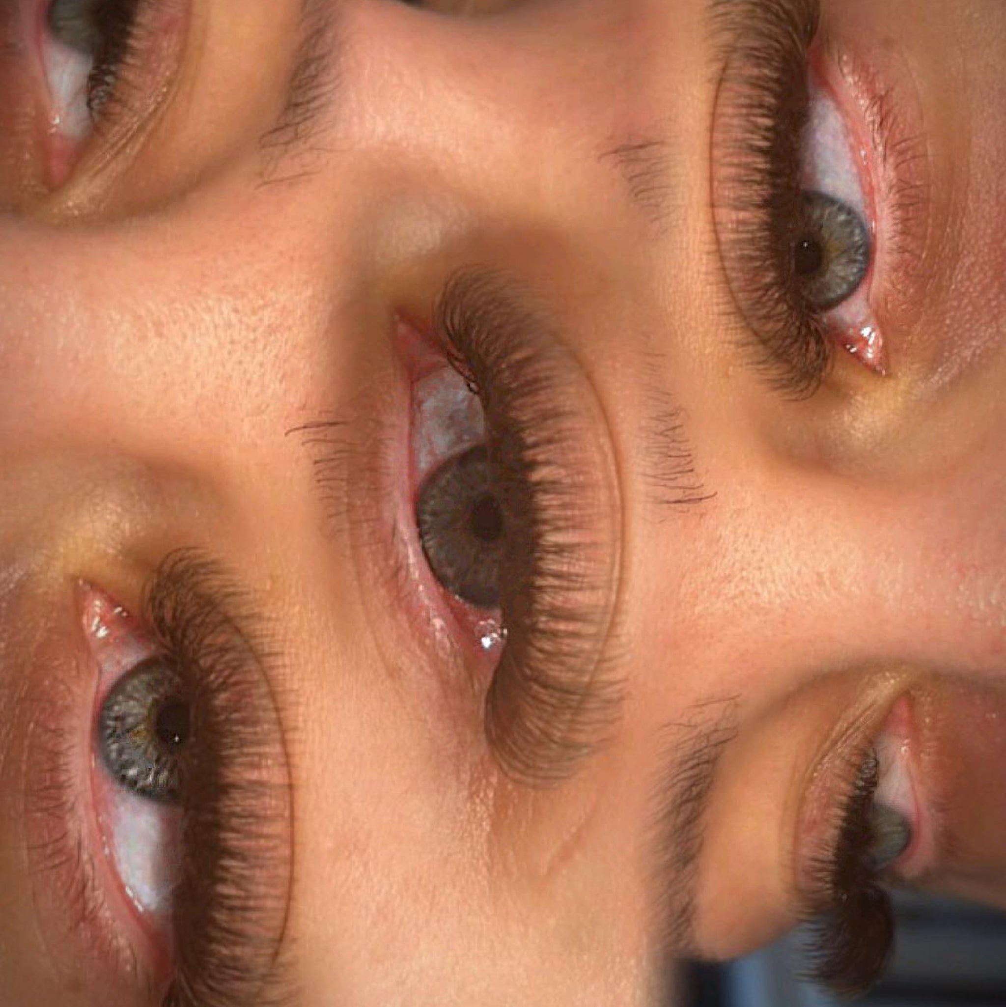 ladybuglashes lashglue lashtrays lashadhesive glueretention cloverlashes wlashes yylashes premades promades lashes