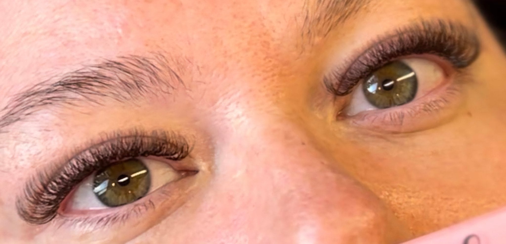 ladybuglashes lashglue lashtrays lashadhesive glueretention cloverlashes wlashes yylashes premades promades lashes