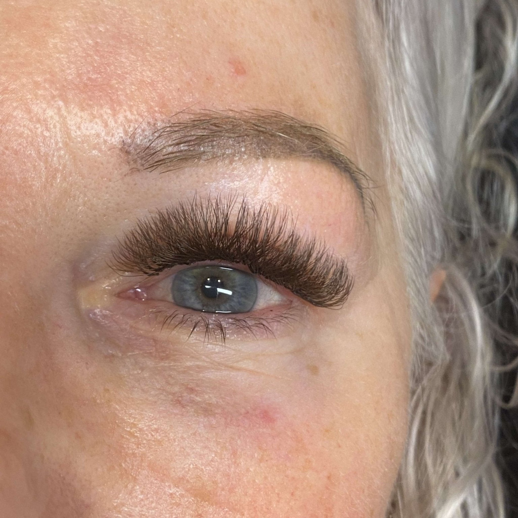 ladybuglashes lashglue lashtrays lashadhesive glueretention cloverlashes wlashes yylashes premades promades lashes