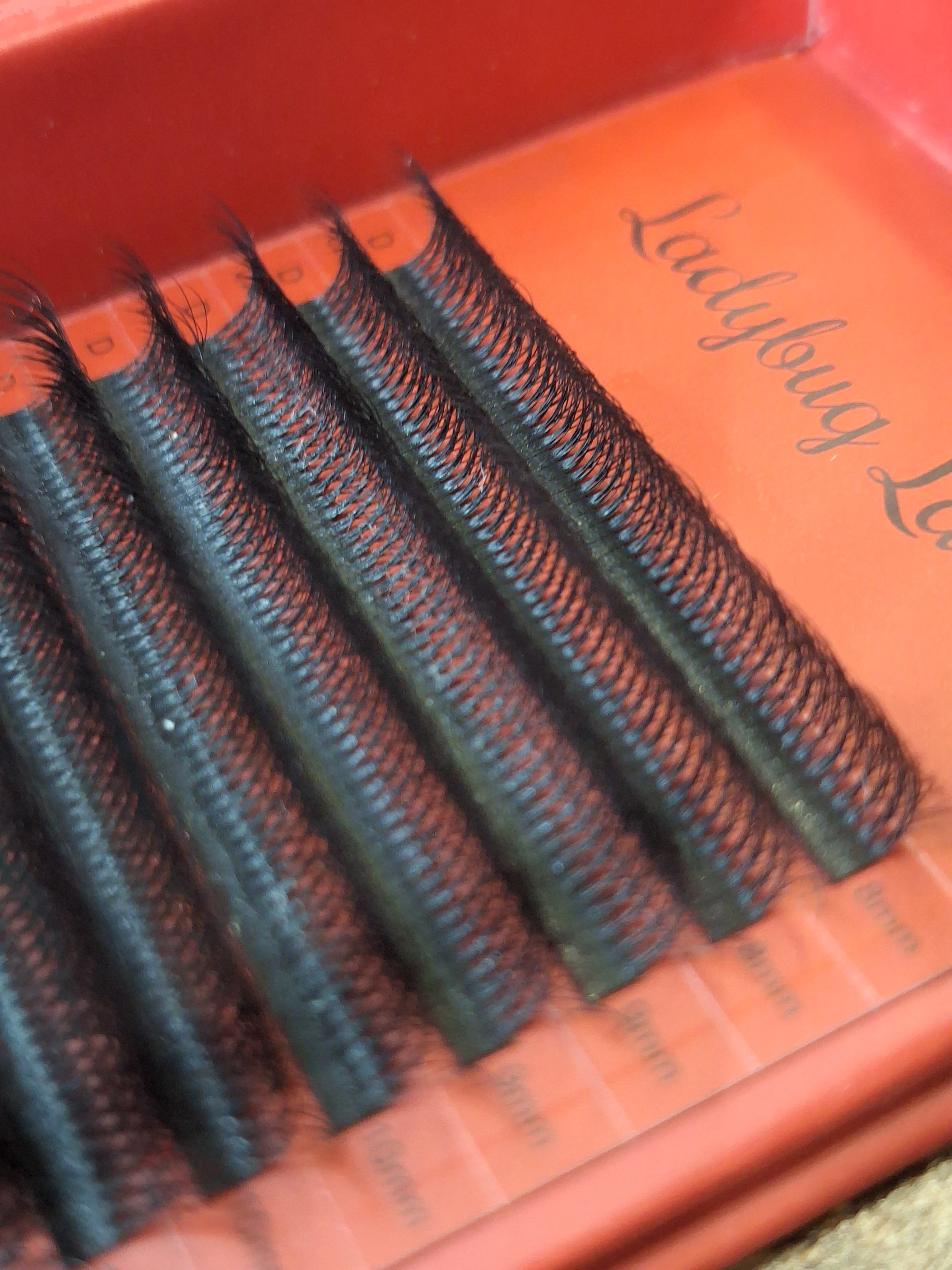 Set of false eyelashes on an red tray with 'Ladybug' branding.