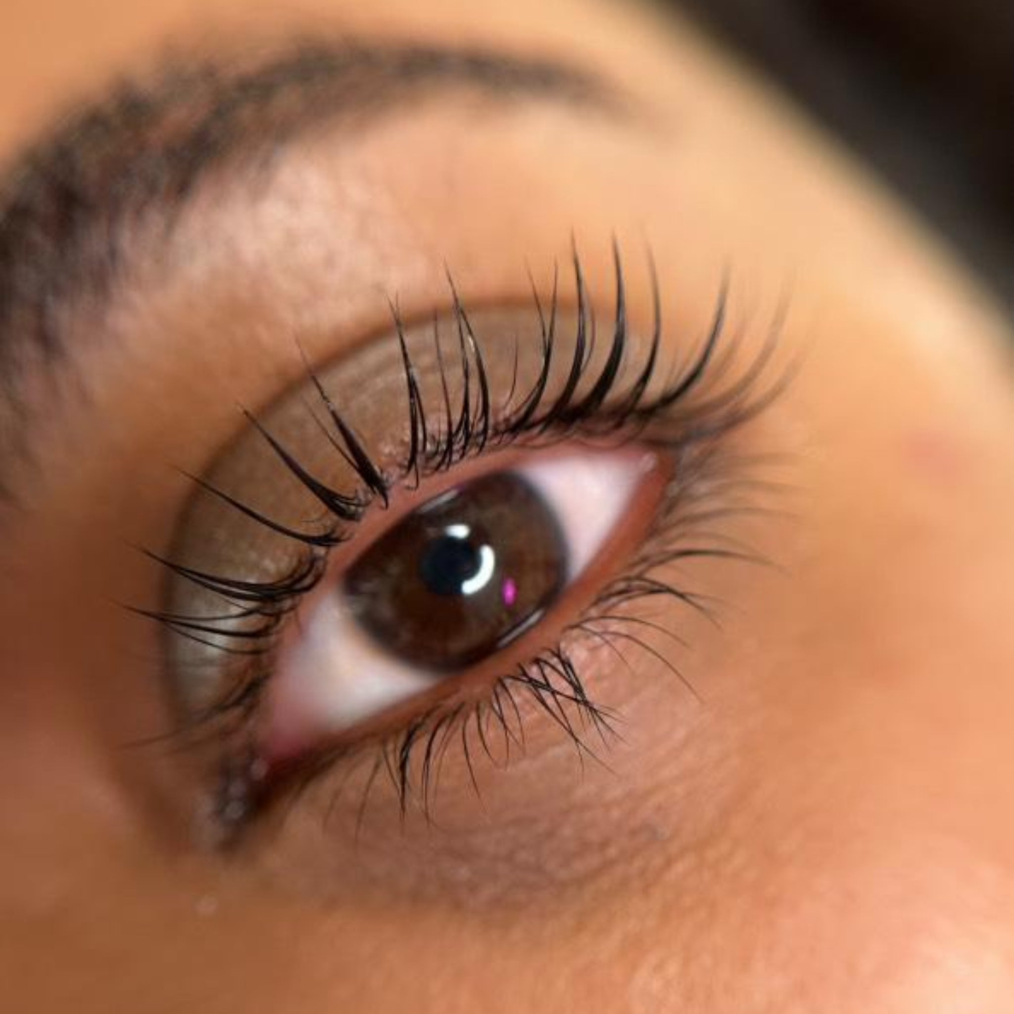 Flutter and Frame Sensitive Lash Lift Kit – Cysteamine Formula