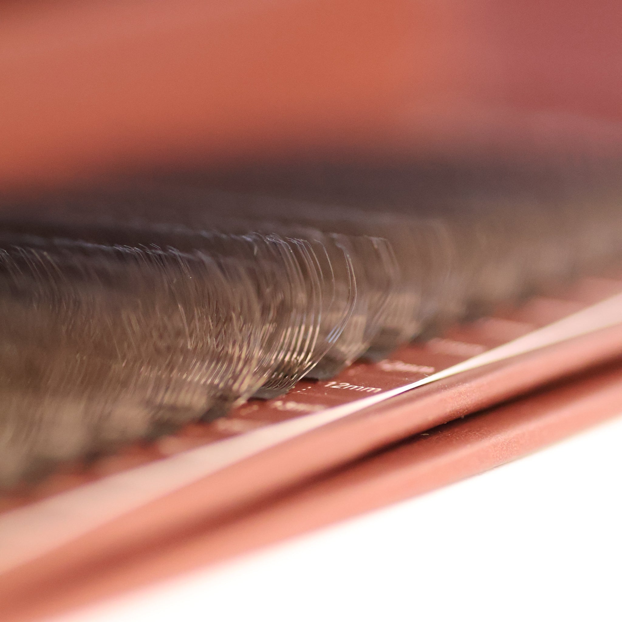 Macro close-up of brown W lash extensions on Ladybug Lashes tray showing 12mm length marking and distinctive W curl shape