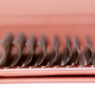 Close-up of brown Fairy lash extensions on Ladybug Lashes strip showing consistent D curl shape and warm brown colour tone