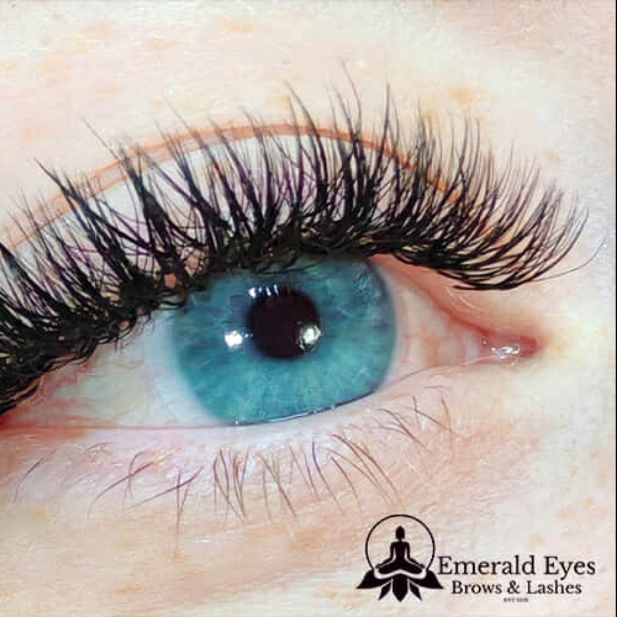 Completed Ladybug Lashes Fairy Lashes Single Length lash set showing full lash line from front