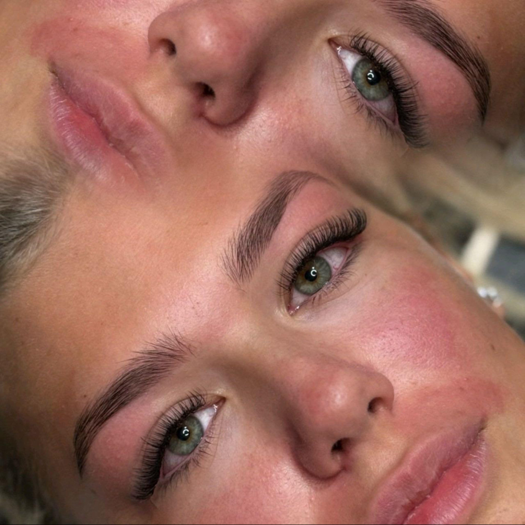 ladybuglashes lashglue lashtrays lashadhesive glueretention cloverlashes wlashes yylashes premades promades lashes