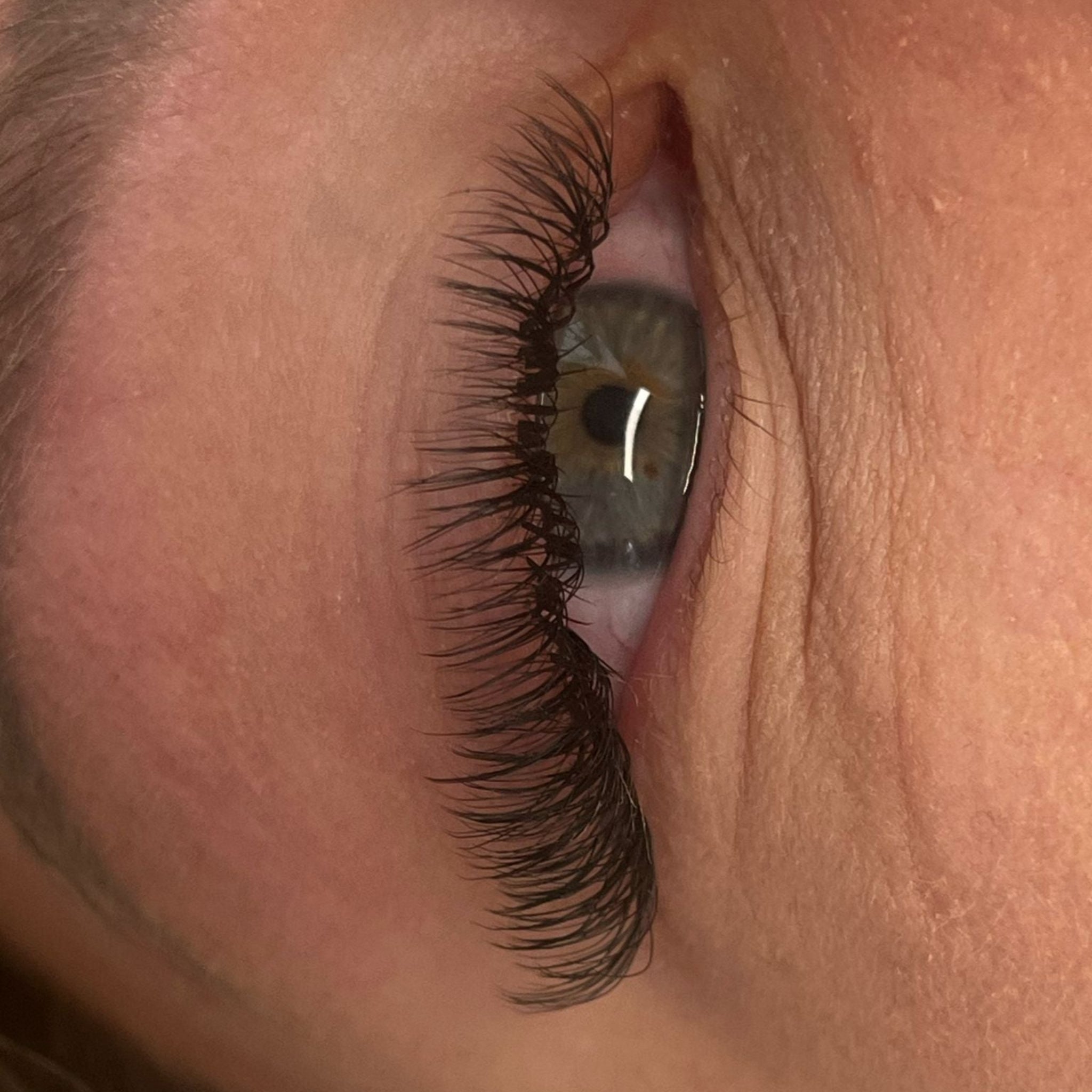 ladybuglashes lashglue lashtrays lashadhesive glueretention cloverlashes wlashes yylashes premades promades lashes