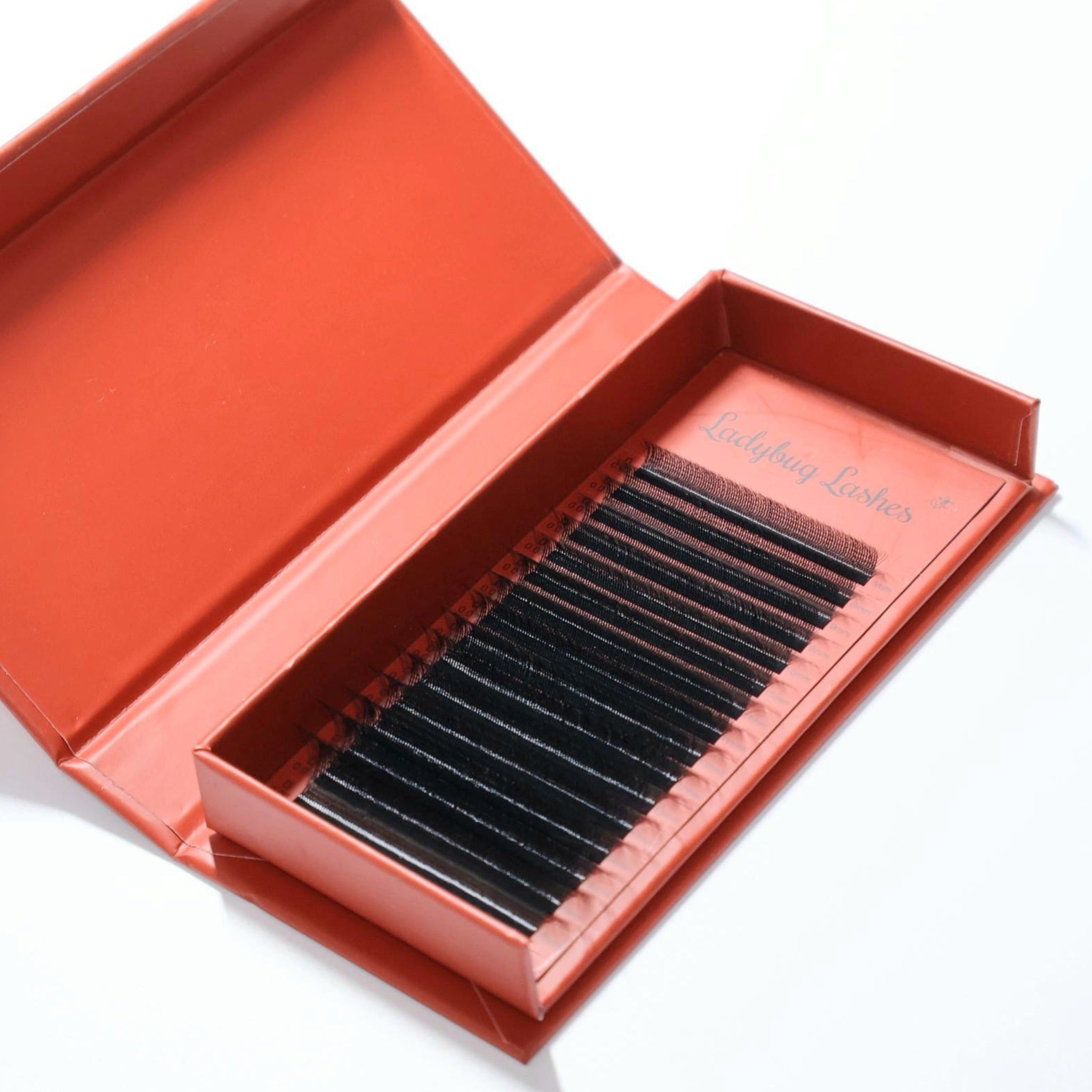 ladybuglashes lashglue lashtrays lashadhesive glueretention cloverlashes wlashes yylashes premades promades lashes
