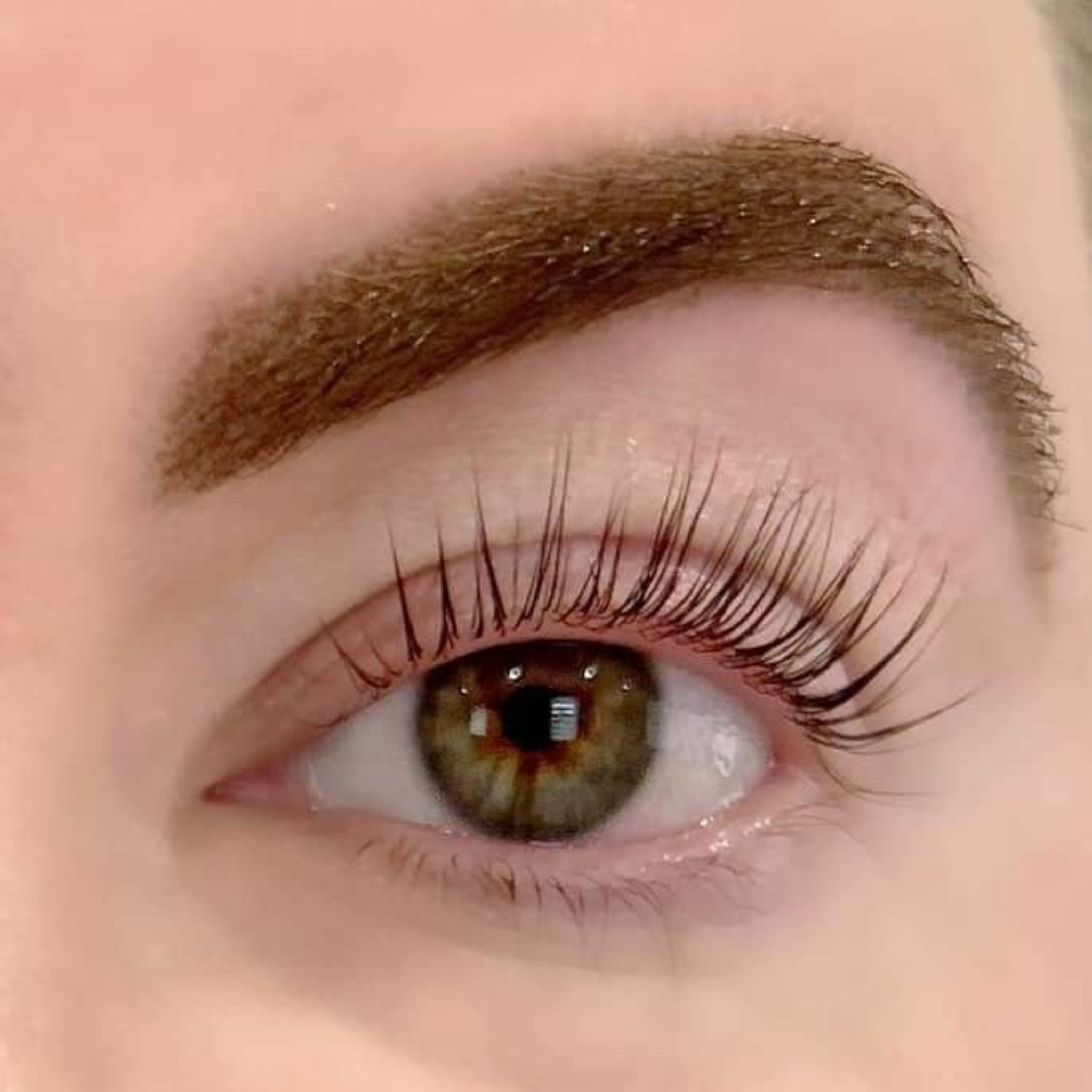 ladybuglashes lashglue lashtrays lashadhesive glueretention cloverlashes wlashes yylashes premades promades lashes