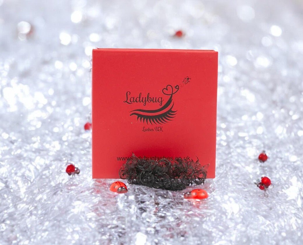 ladybuglashes lashglue lashtrays lashadhesive glueretention cloverlashes wlashes yylashes premades promades lashes