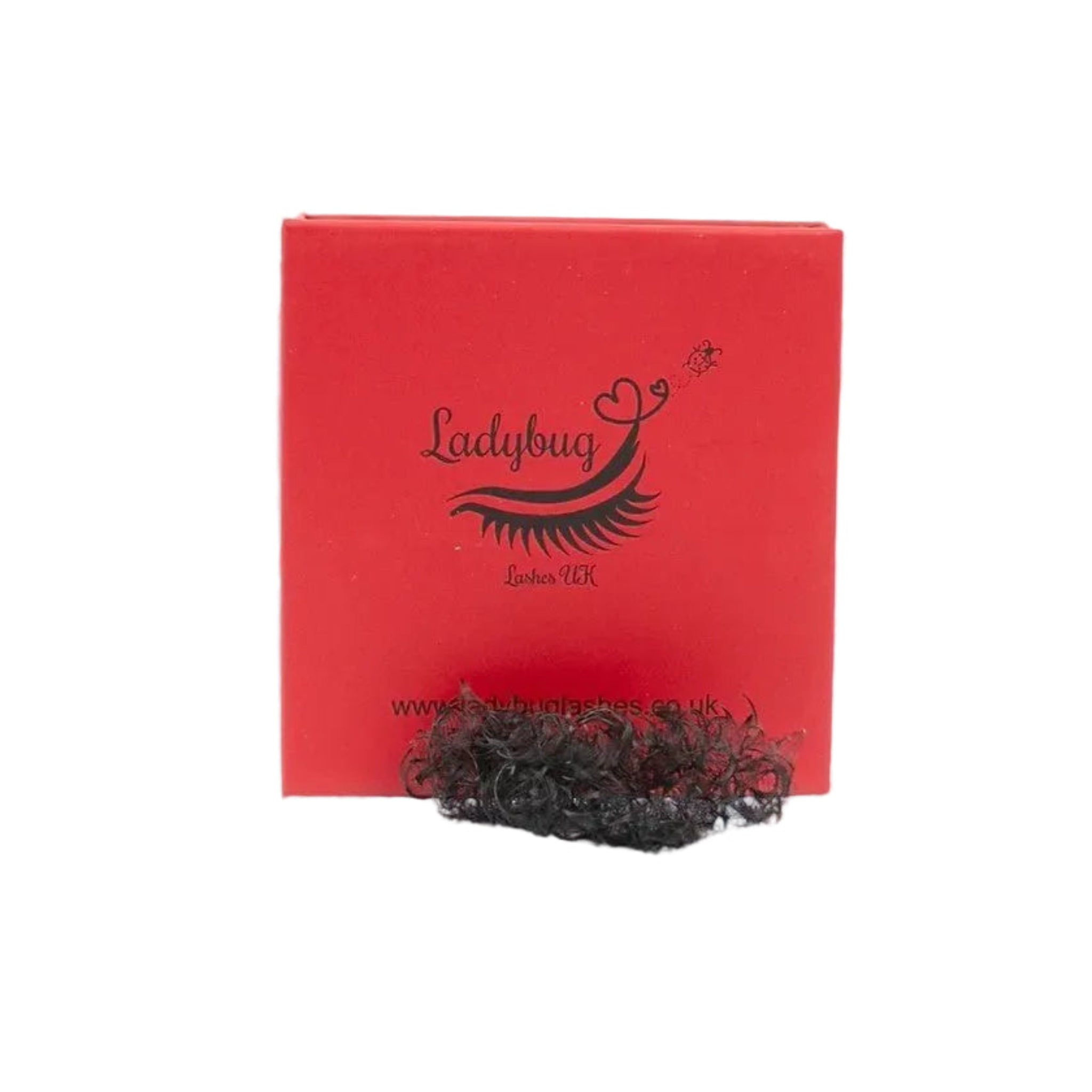 ladybuglashes lashglue lashtrays lashadhesive glueretention cloverlashes wlashes yylashes premades promades lashes