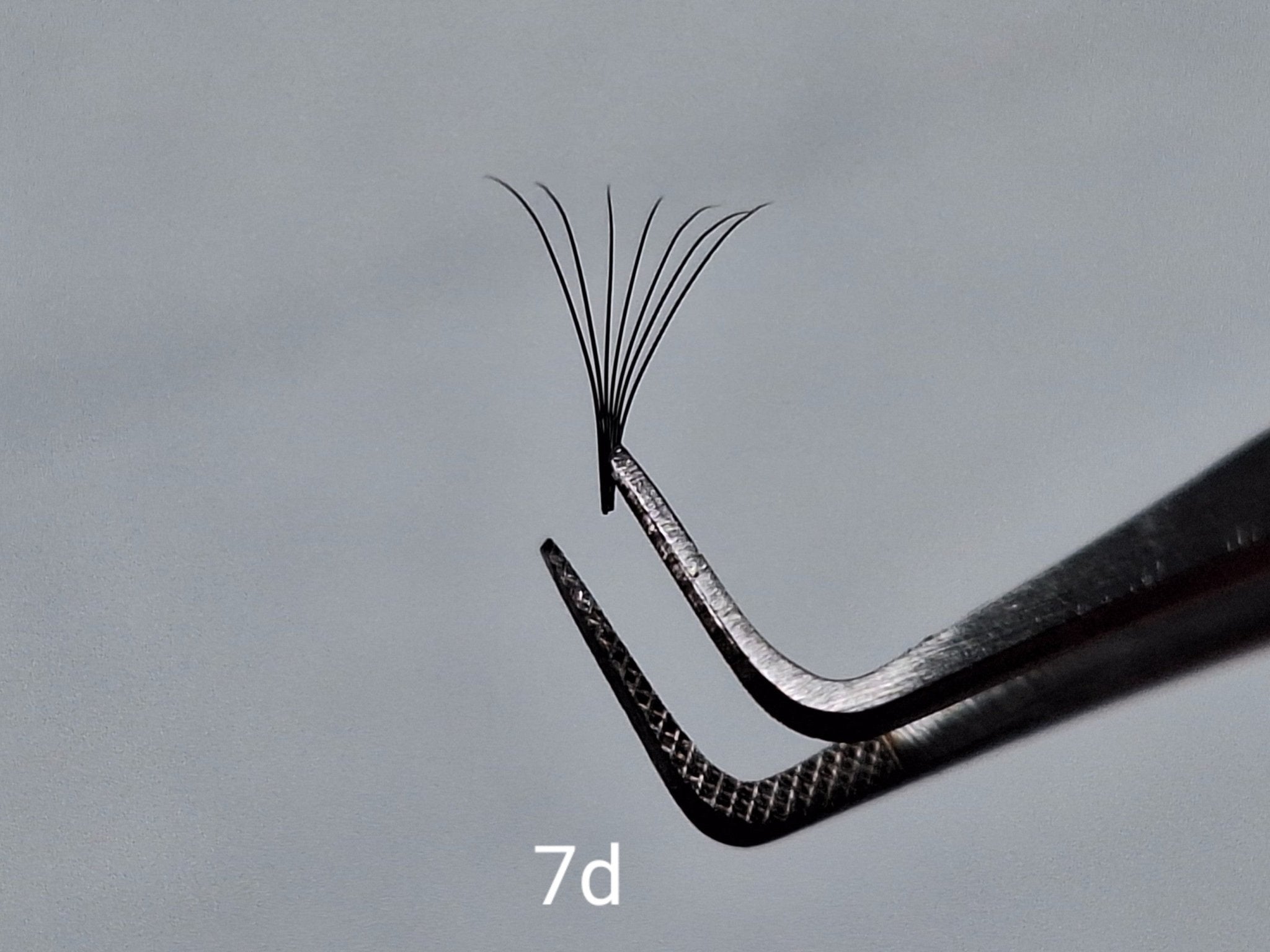 ladybuglashes lashglue lashtrays lashadhesive glueretention cloverlashes wlashes yylashes premades promades lashes