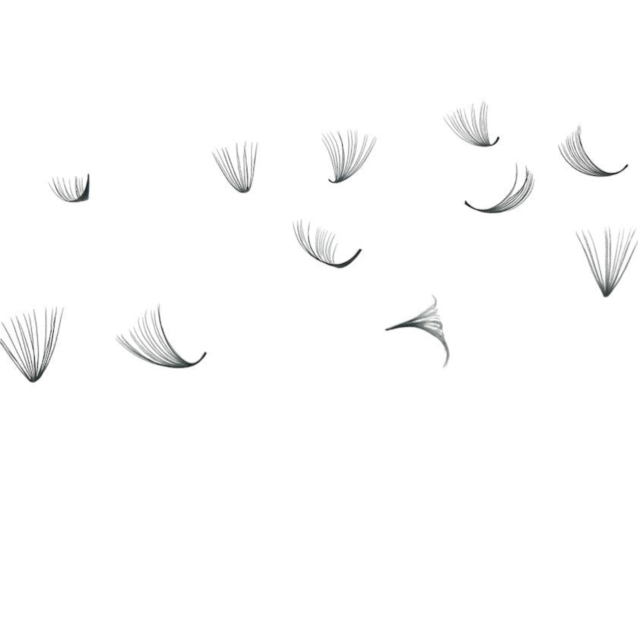 ladybuglashes lashglue lashtrays lashadhesive glueretention cloverlashes wlashes yylashes premades promades lashes