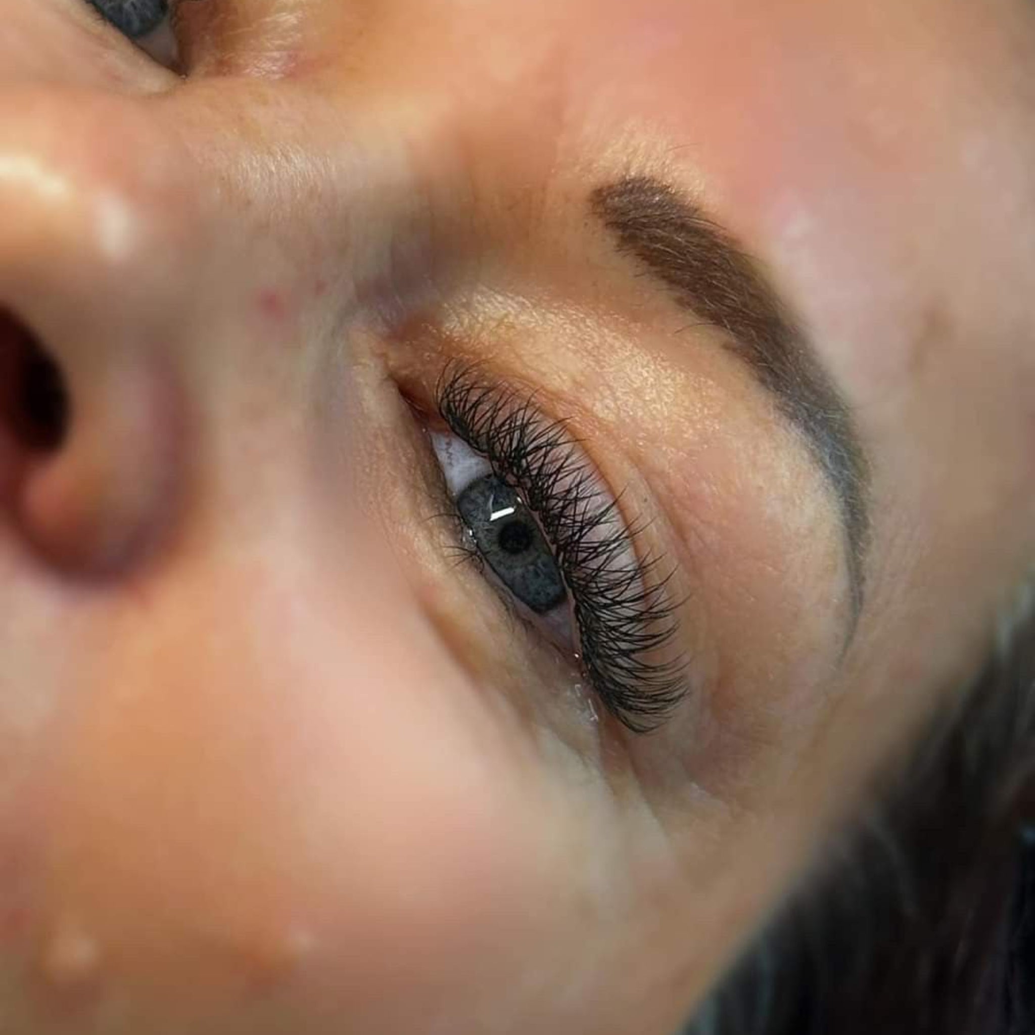Ladybug Lashes W Lashes Mixed Tray 16 Rows