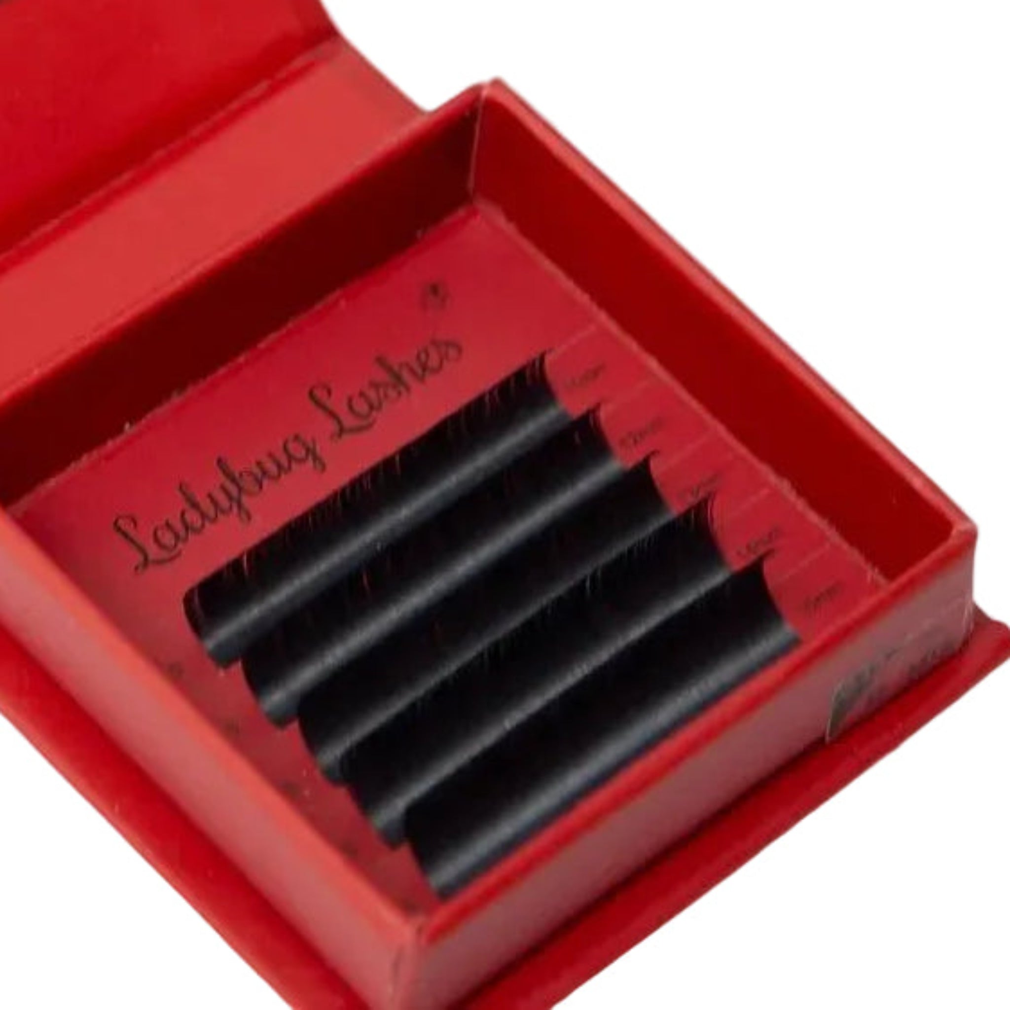 ladybuglashes lashglue lashtrays lashadhesive glueretention cloverlashes wlashes yylashes premades promades lashes