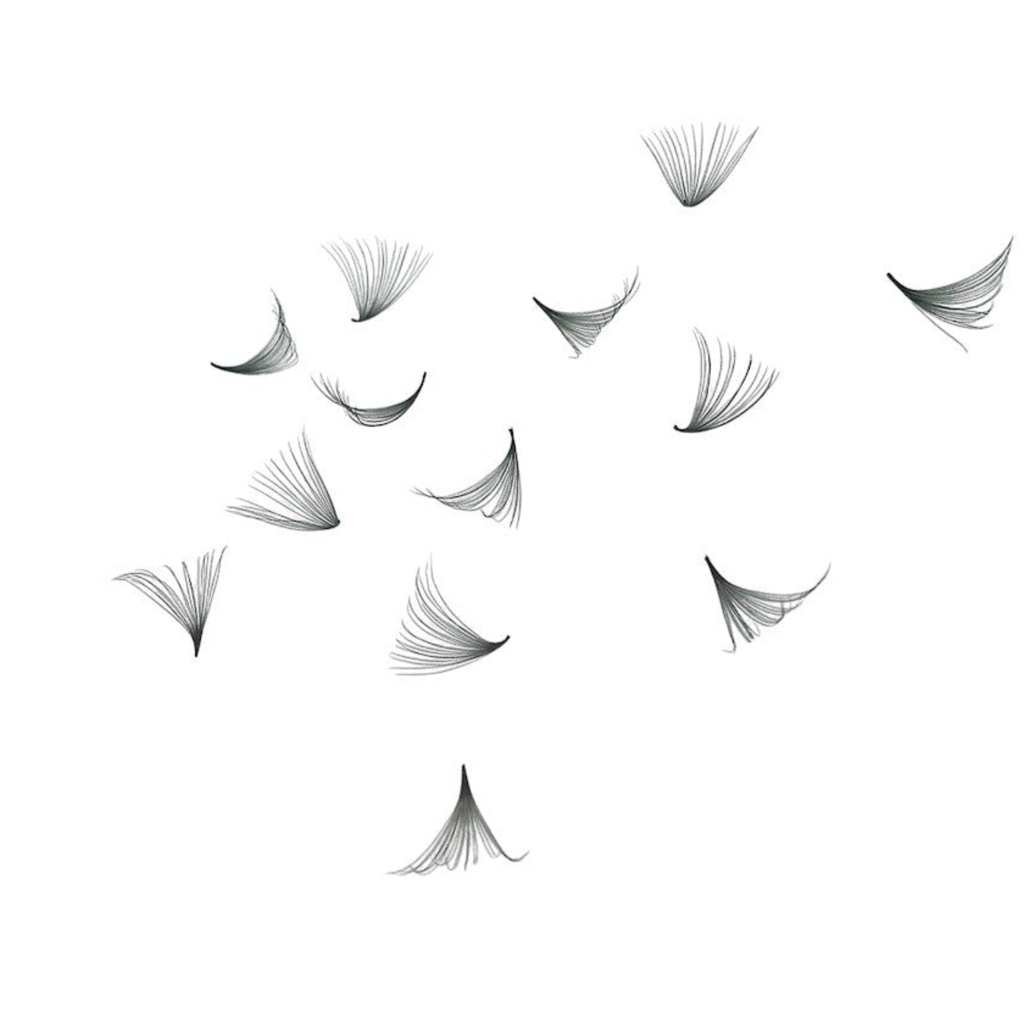 ladybuglashes lashglue lashtrays lashadhesive glueretention cloverlashes wlashes yylashes premades promades lashes