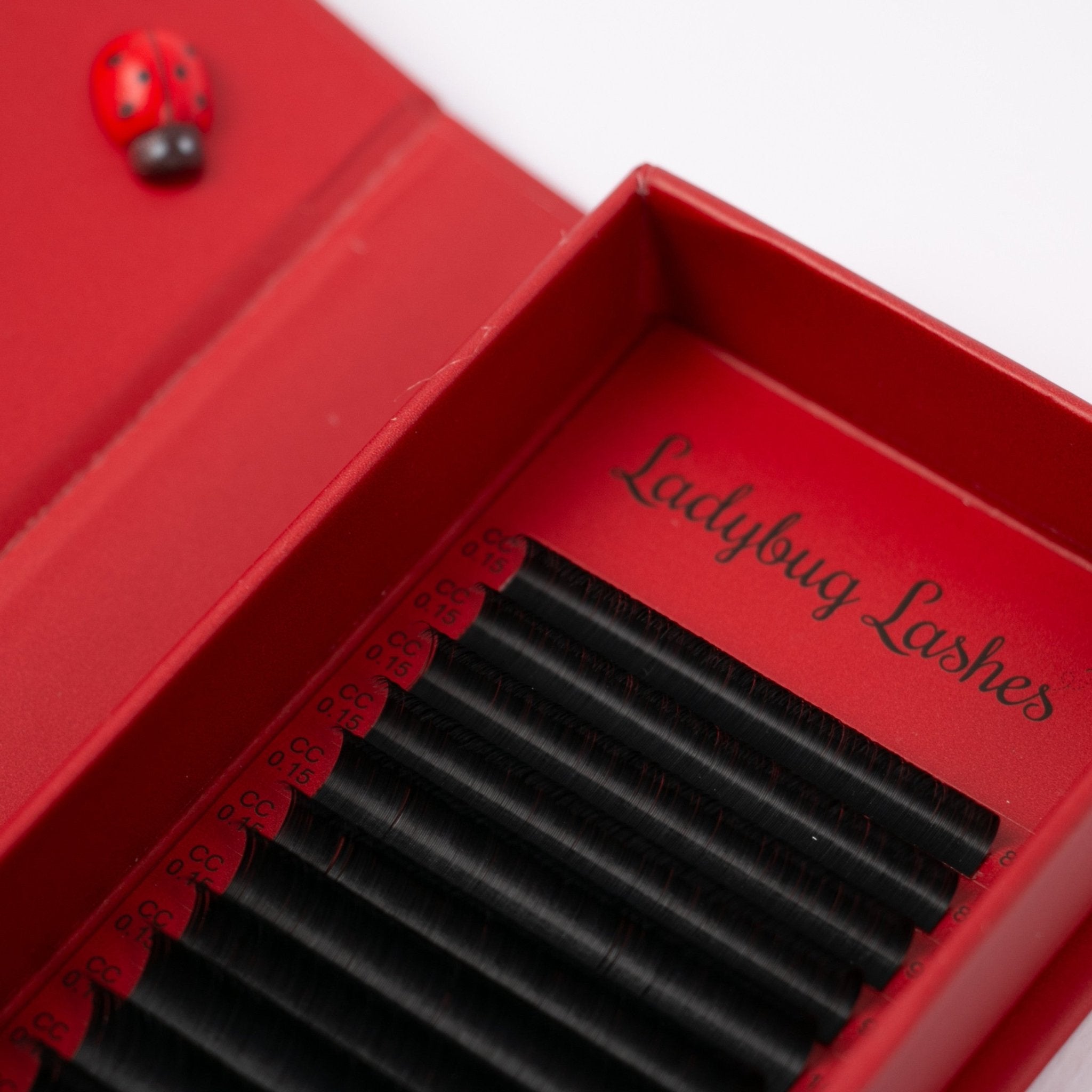 ladybuglashes lashglue lashtrays lashadhesive glueretention cloverlashes wlashes yylashes premades promades lashes