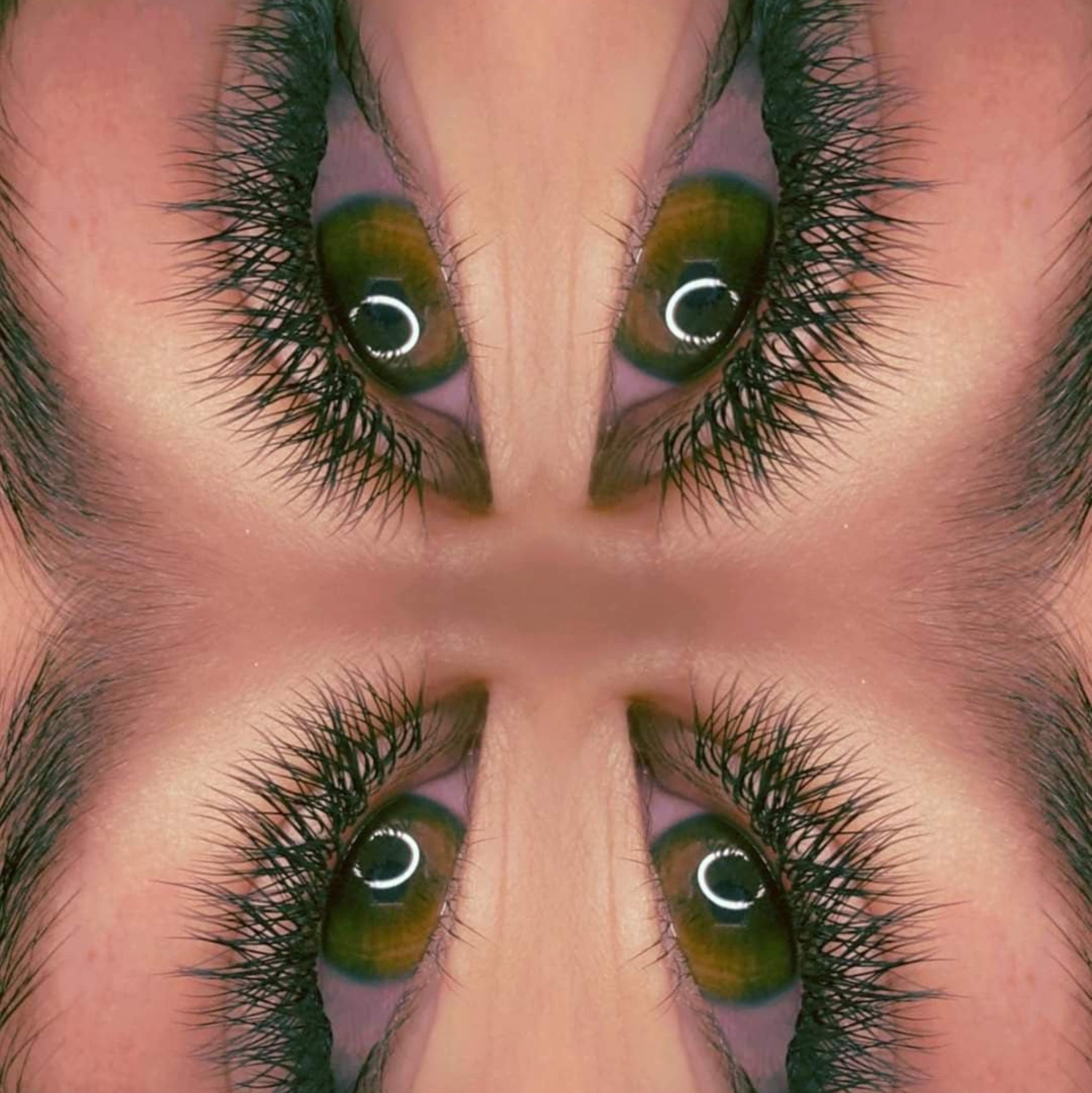 Ladybug Lashes YY Lash Sample Tray