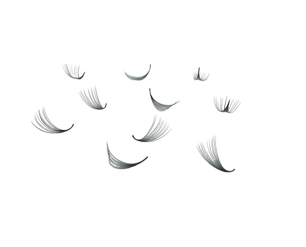 ladybuglashes lashglue lashtrays lashadhesive glueretention cloverlashes wlashes yylashes premades promades lashes