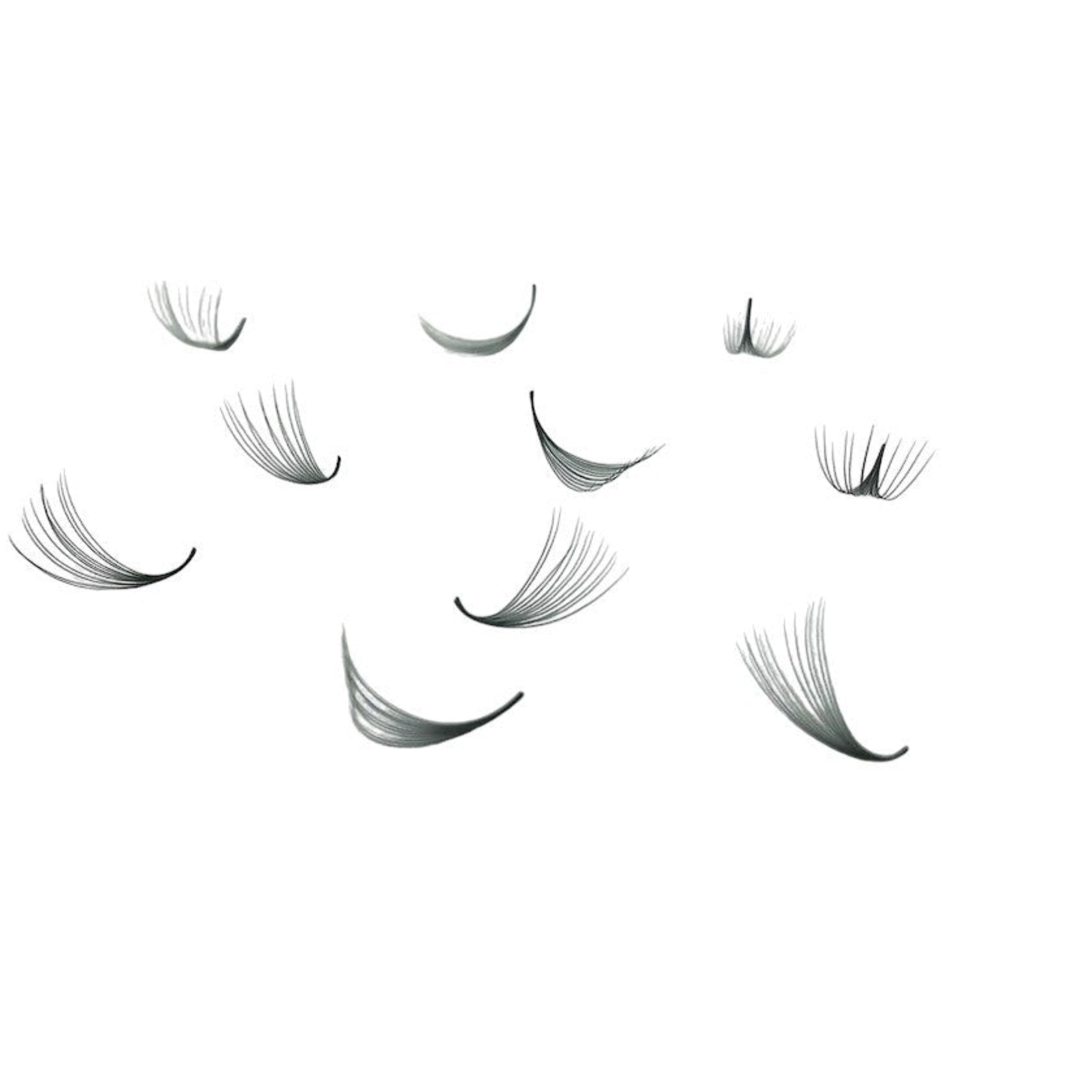 ladybuglashes lashglue lashtrays lashadhesive glueretention cloverlashes wlashes yylashes premades promades lashes