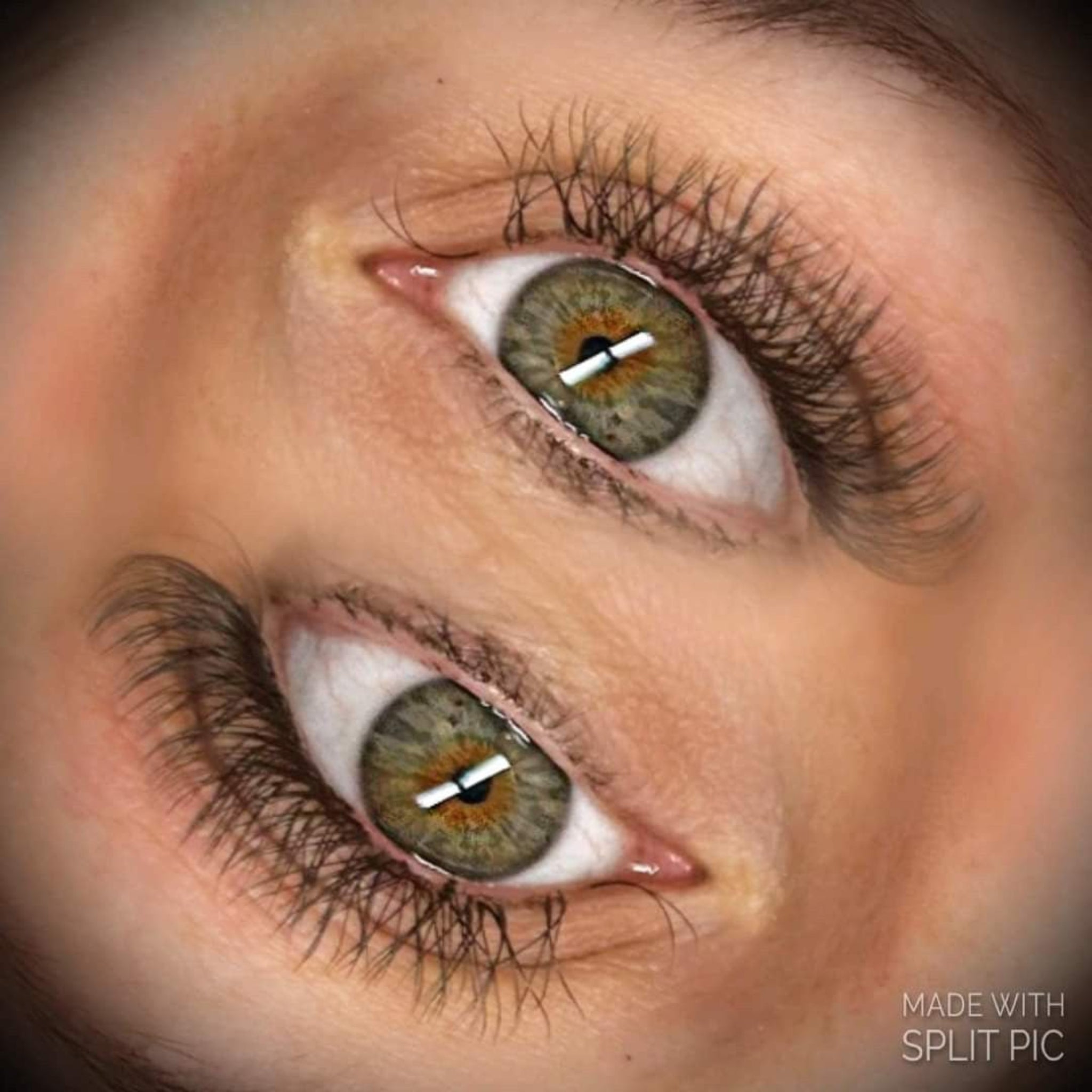 Ladybug Lashes YY Lash Sample Tray