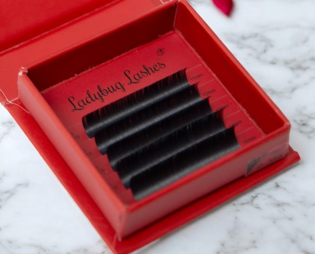 ladybuglashes lashglue lashtrays lashadhesive glueretention cloverlashes wlashes yylashes premades promades lashes